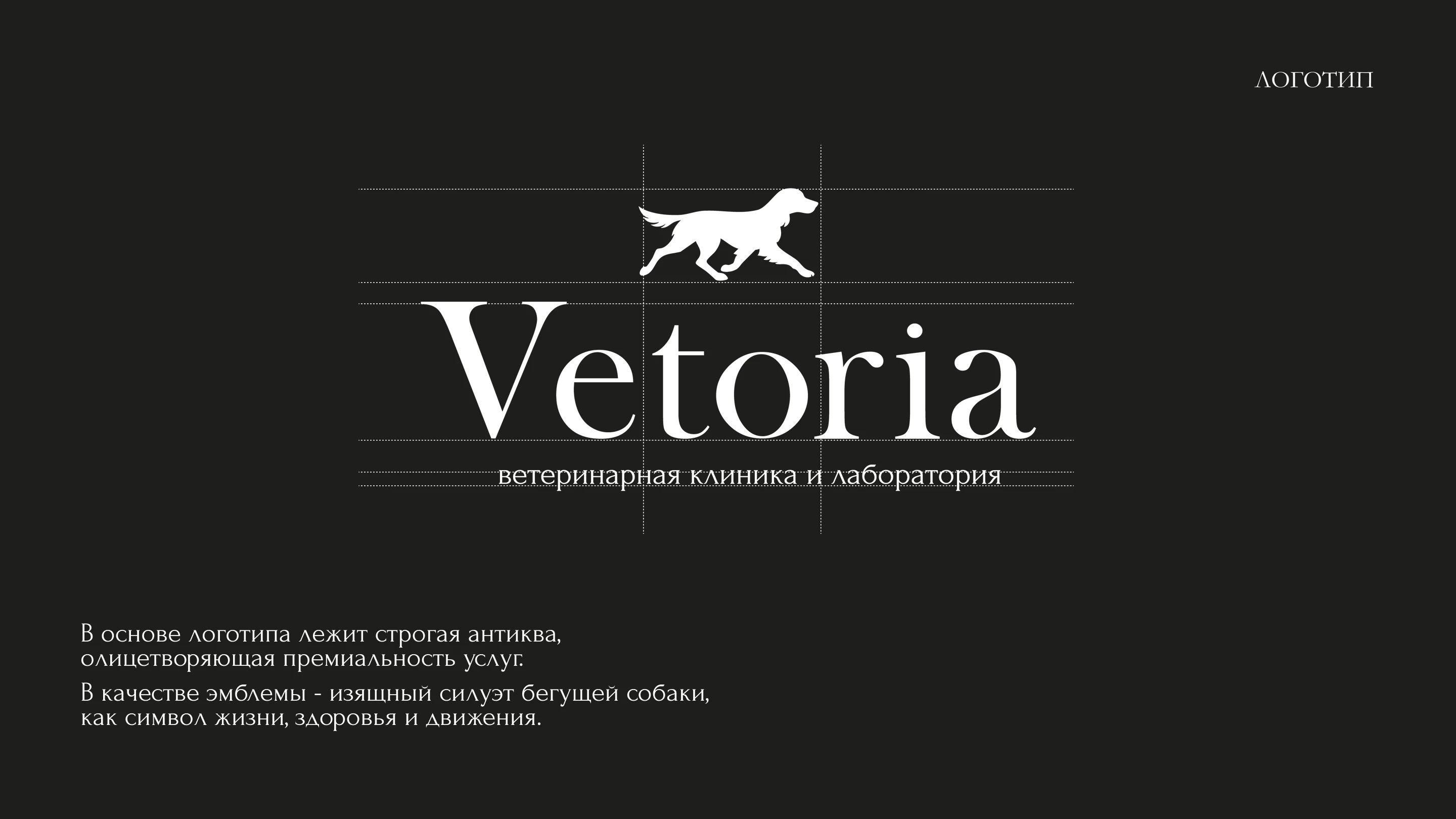 Vetoria - Brand Identity for Veterinary Clinic — Изображение №2 — Брендинг на Dprofile