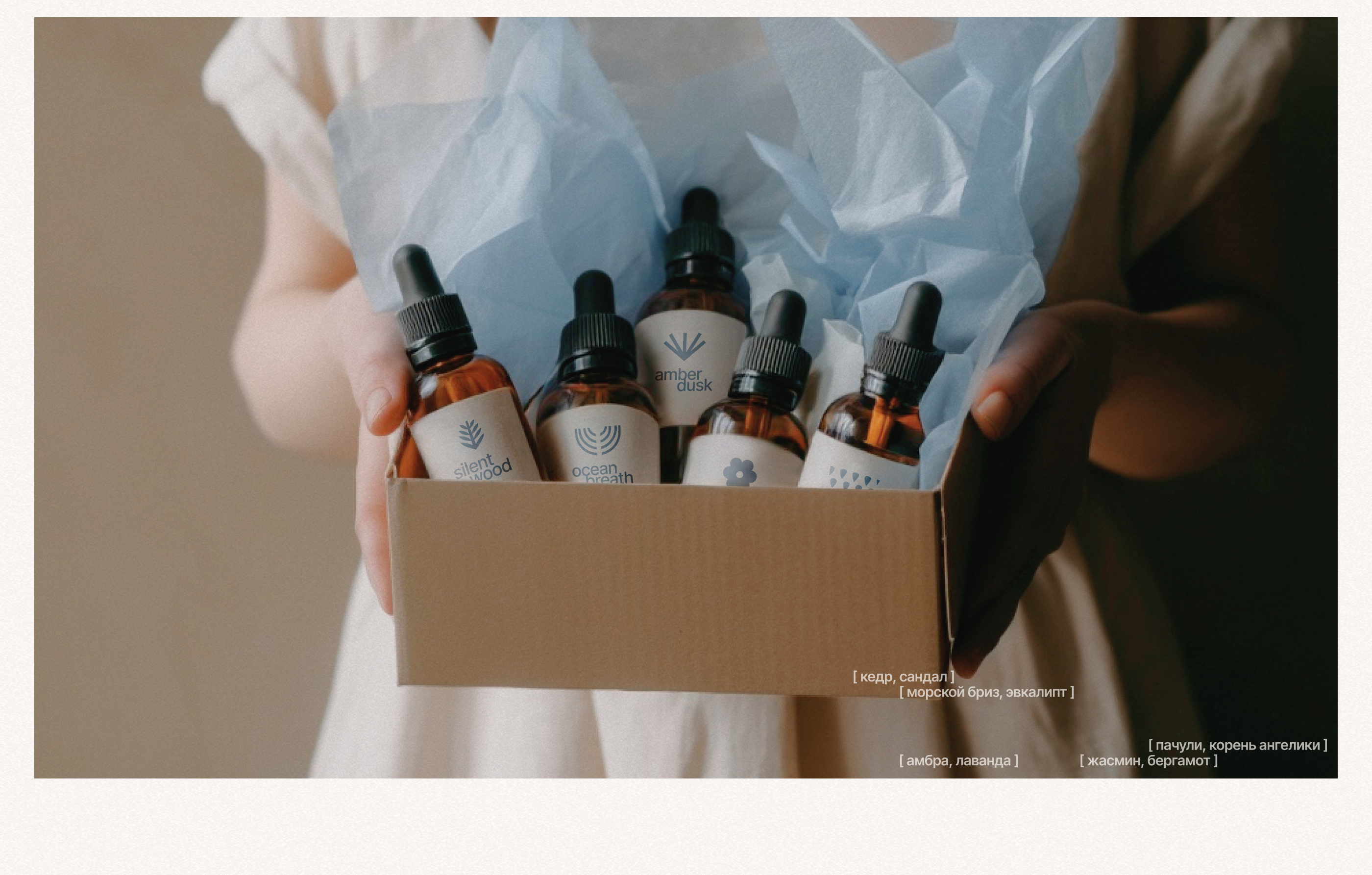 Landing page and brand identity for travel to Mauritius — Изображение №10 — Интерфейсы, Брендинг на Dprofile