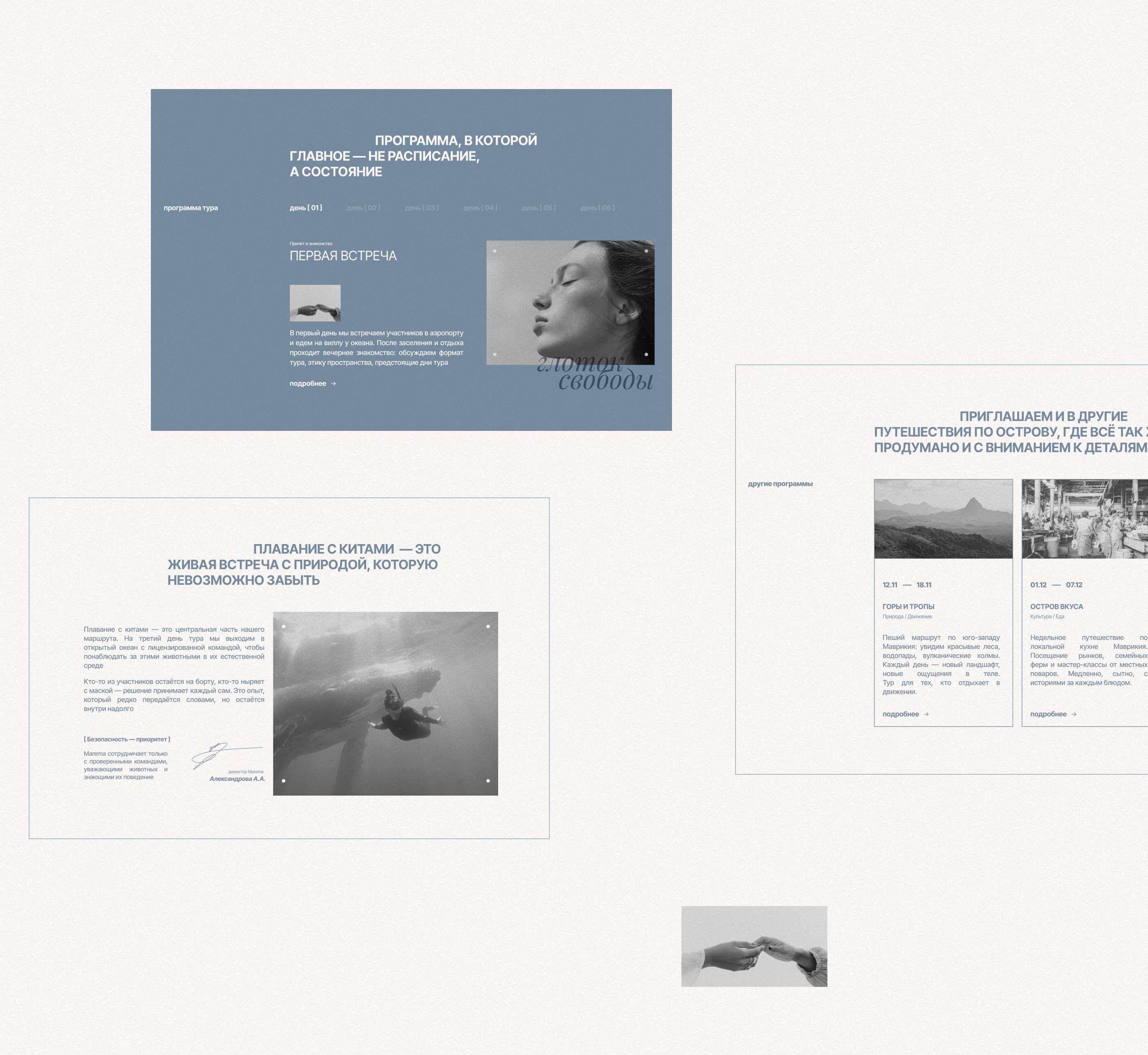 Landing page and brand identity for travel to Mauritius — Изображение №6 — Интерфейсы, Брендинг на Dprofile