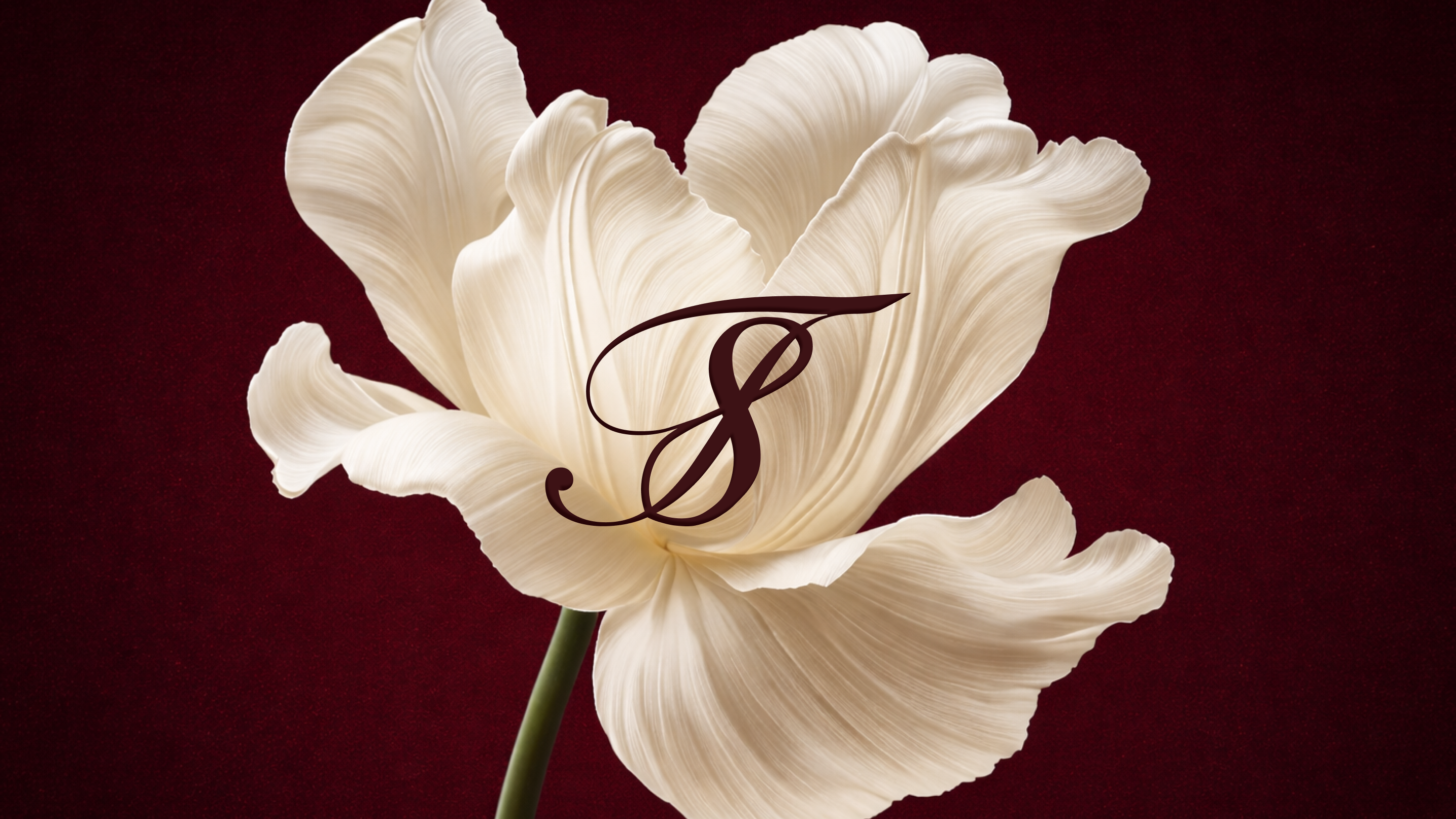 Логотип для бренда одежды — Изображение №1 — Брендинг на Dprofile