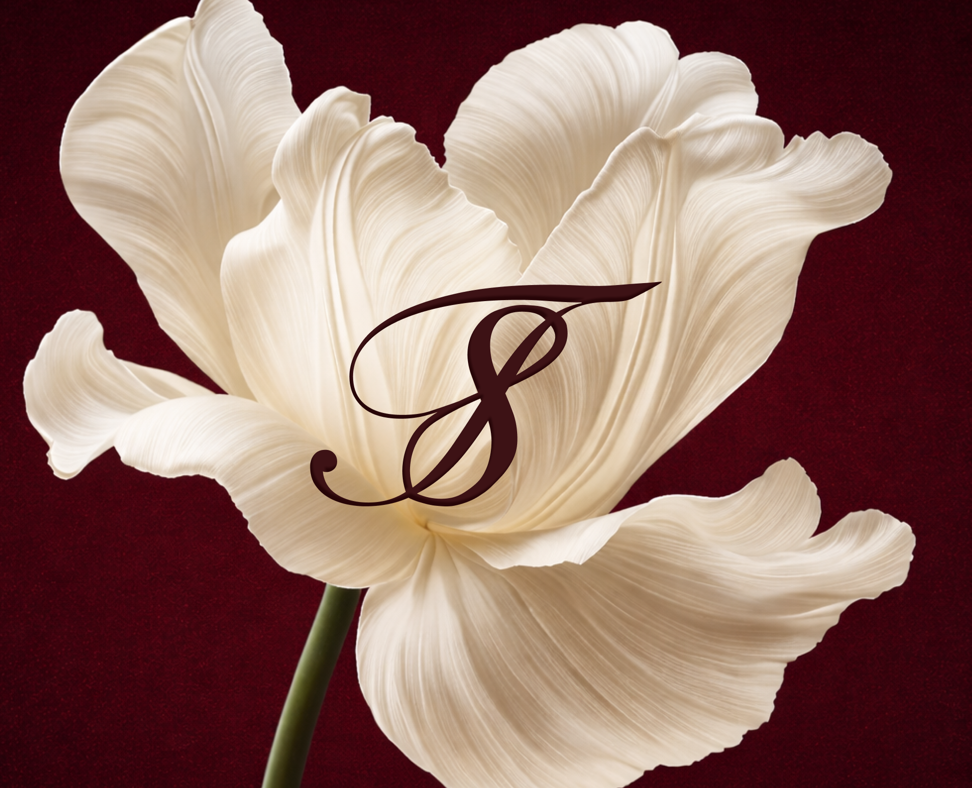 Логотип для бренда одежды на Dprofile