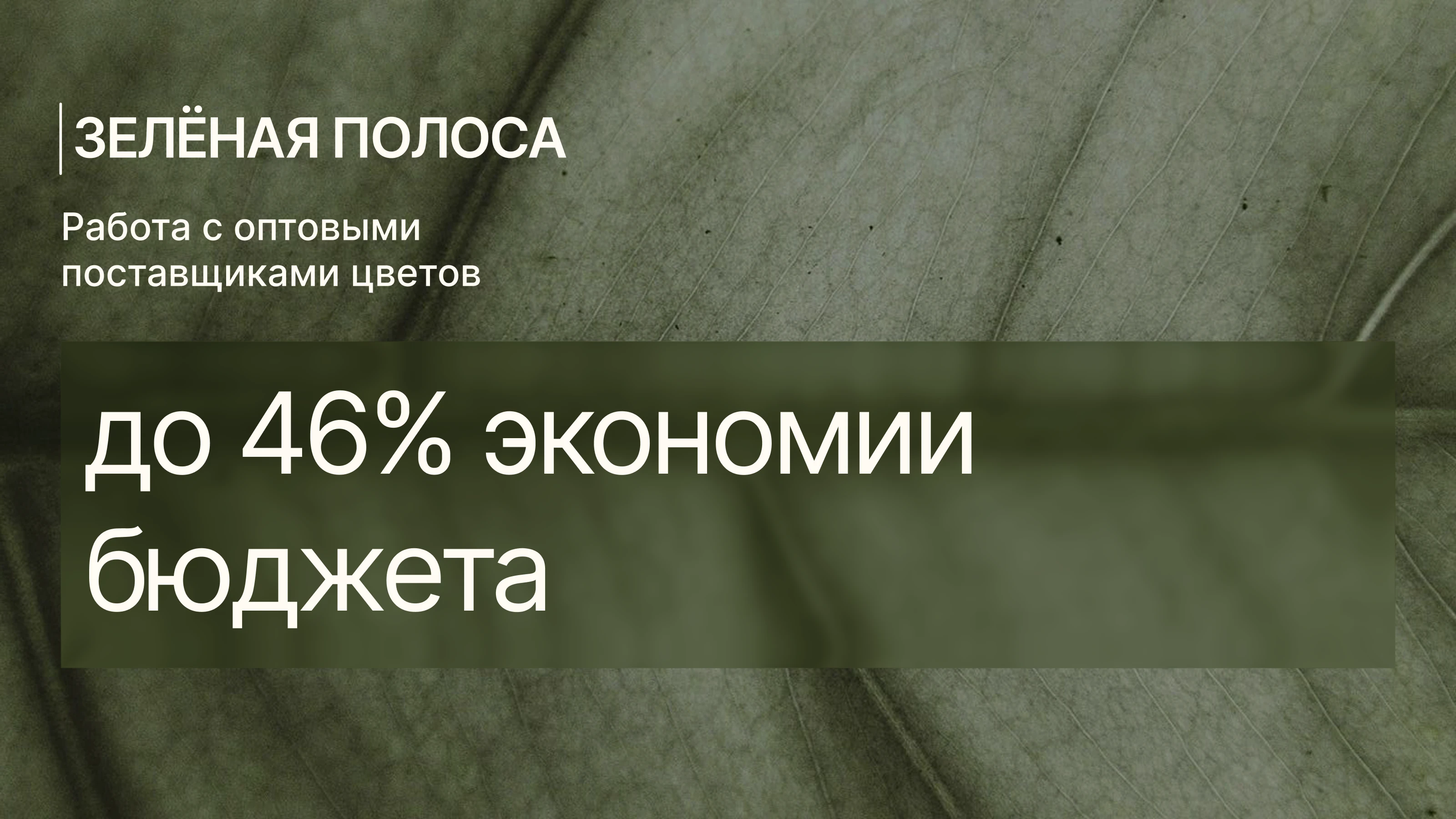 Презентация коммерческого предложения — Изображение №5 — Интерфейсы, Маркетинг на Dprofile