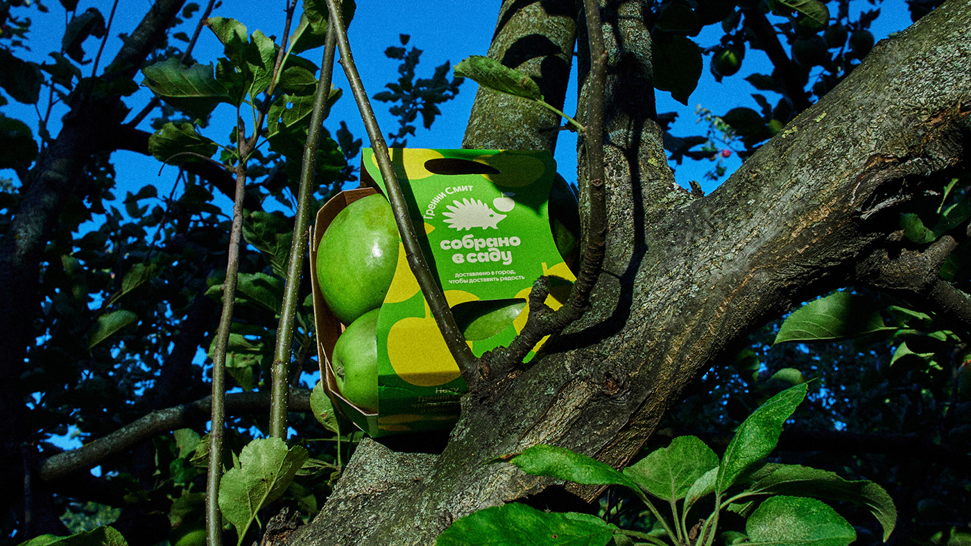 Собрано в саду — Изображение №18 — Брендинг, Иллюстрация на Dprofile