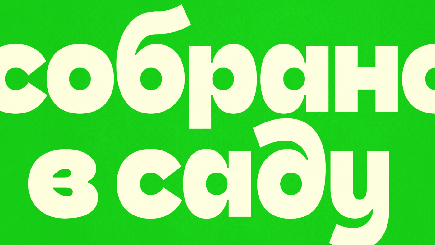 Собрано в саду — Изображение №8 — Брендинг, Иллюстрация на Dprofile