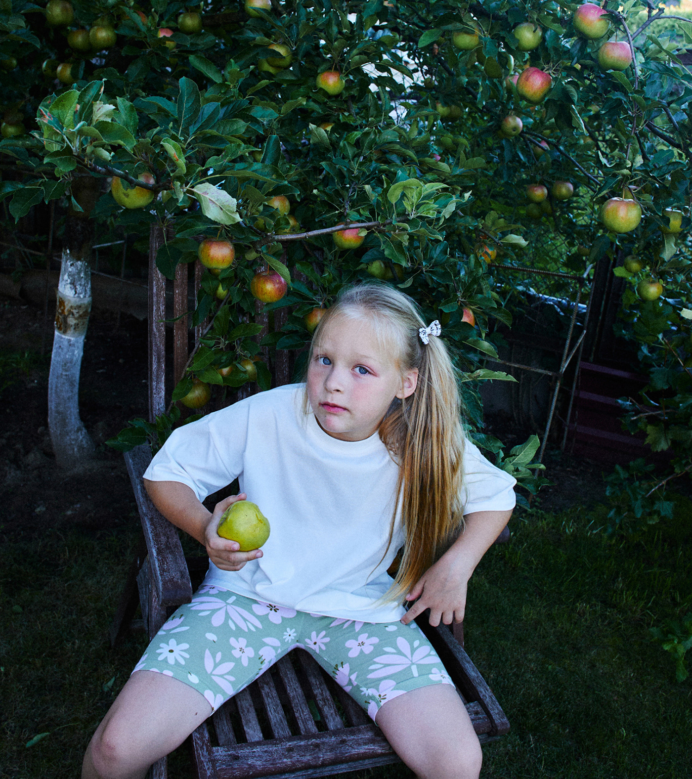 Собрано в саду — Изображение №13 — Брендинг, Иллюстрация на Dprofile