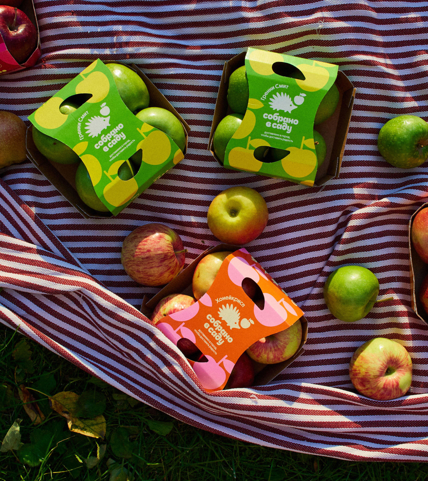 Собрано в саду — Изображение №11 — Брендинг, Иллюстрация на Dprofile