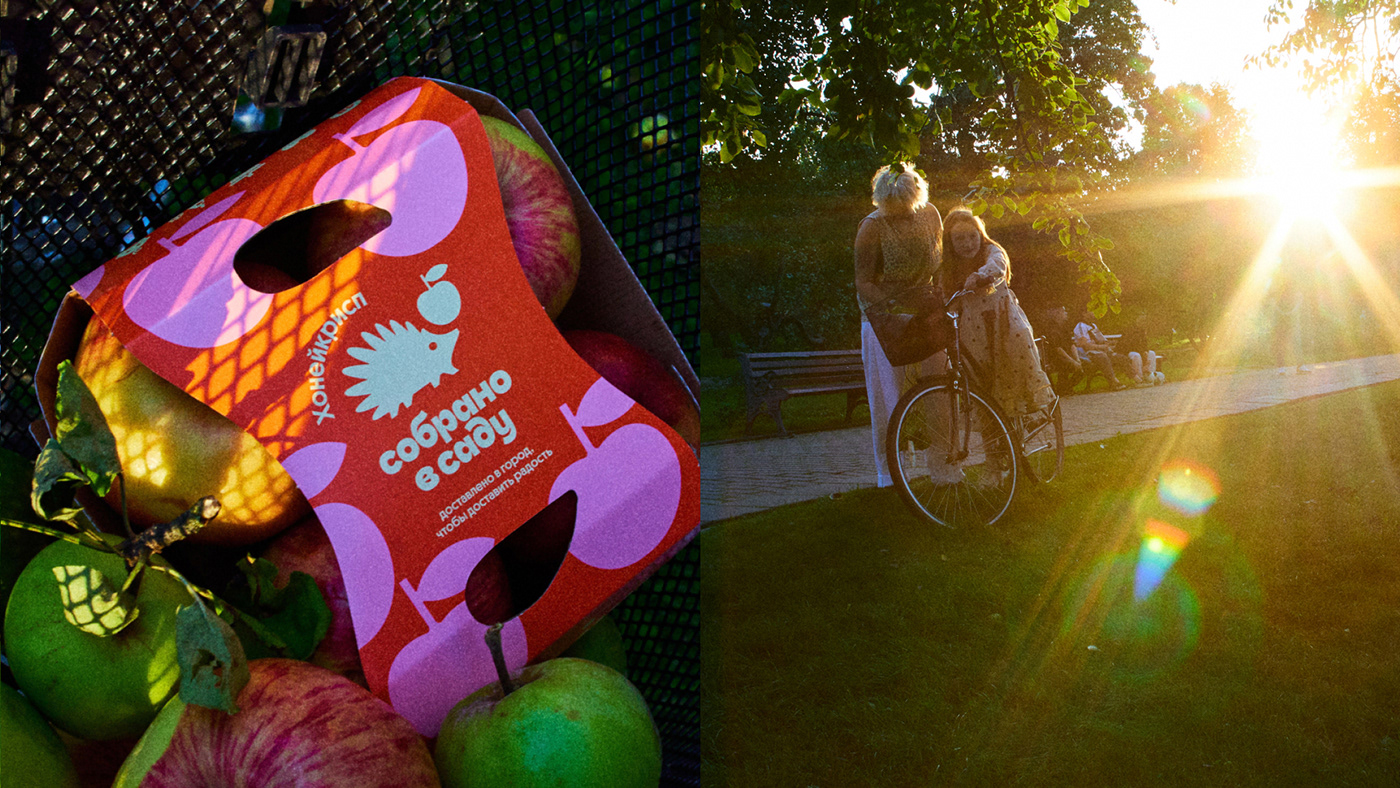 Собрано в саду — Изображение №10 — Брендинг, Иллюстрация на Dprofile