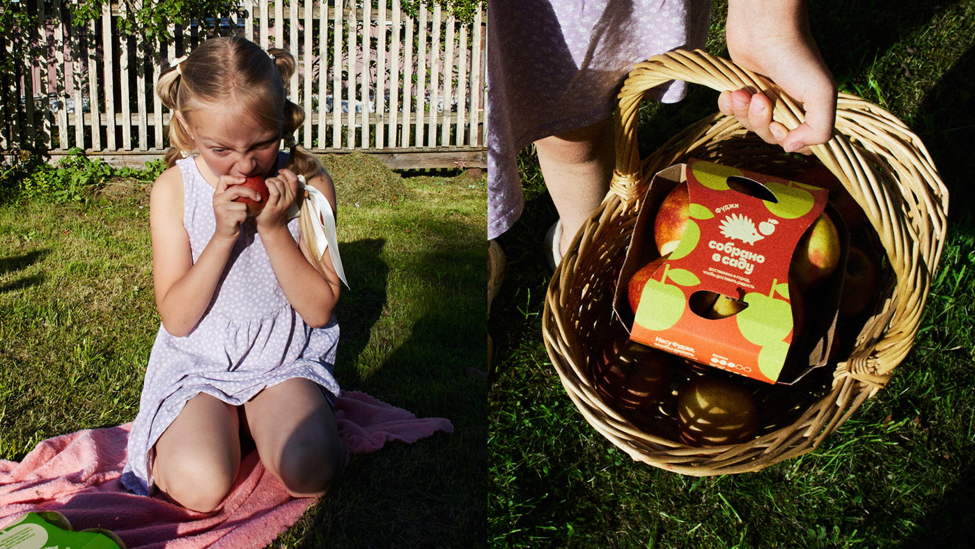 Собрано в саду — Изображение №27 — Брендинг, Иллюстрация на Dprofile