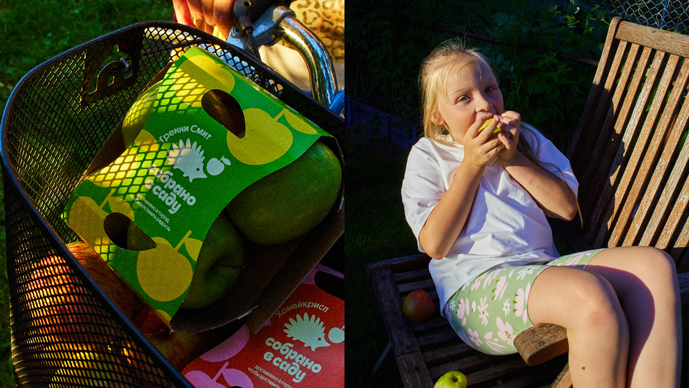 Собрано в саду — Изображение №17 — Брендинг, Иллюстрация на Dprofile