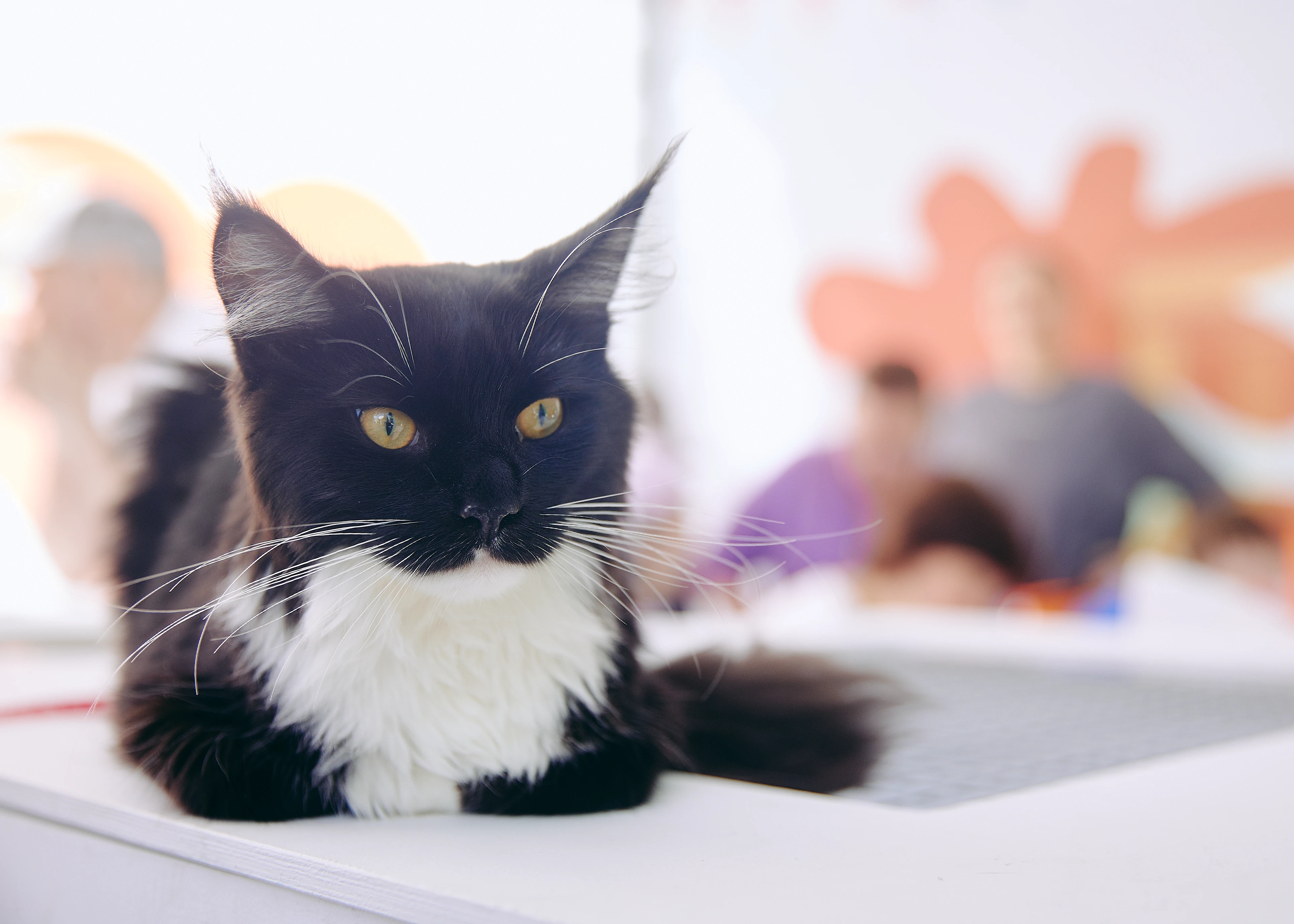 Город неравнодушных | Айдентика — Изображение №18 — Брендинг, Иллюстрация на Dprofile