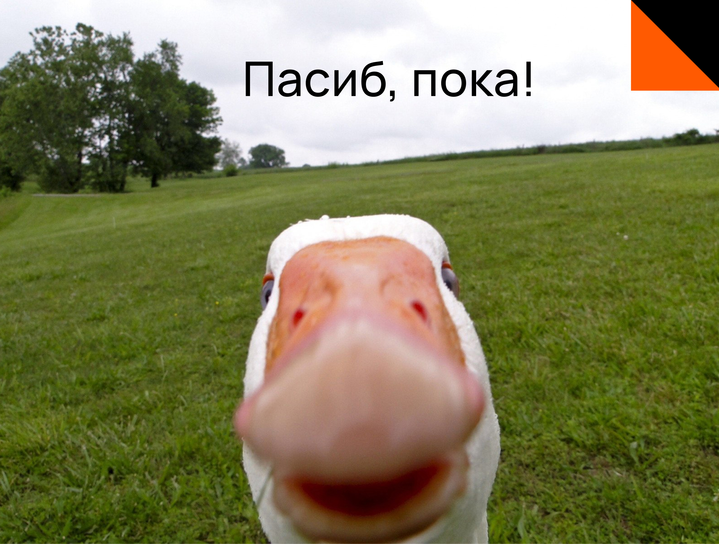 Арзамас.Знание — Изображение №12 — Брендинг на Dprofile