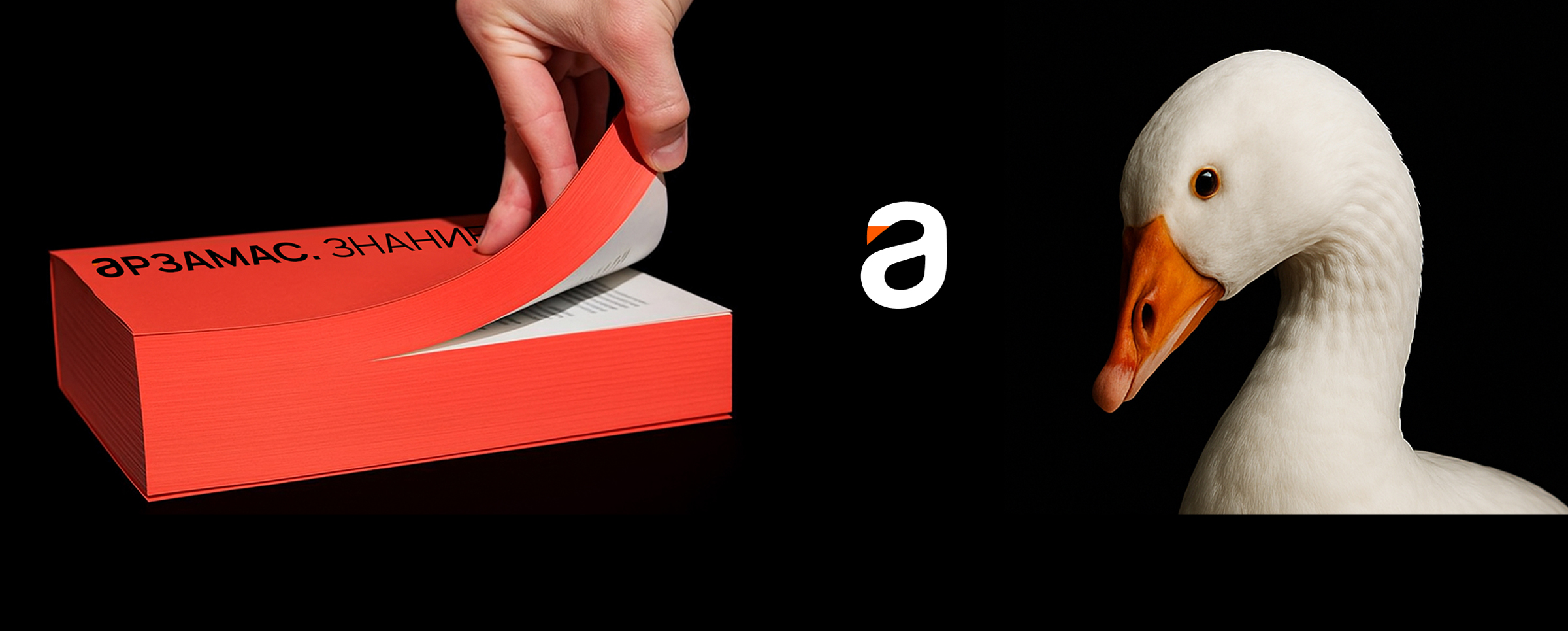 Арзамас.Знание — Изображение №4 — Брендинг на Dprofile