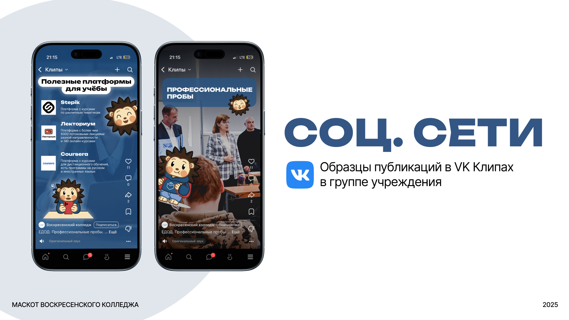 Маскот Иголкин для Воскресенского колледжа — Изображение №11 — Брендинг, Иллюстрация на Dprofile