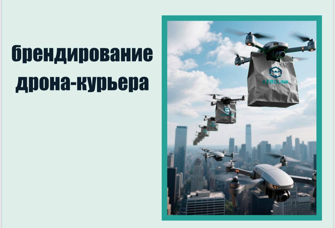 AEROLINK — Изображение №12 — Брендинг на Dprofile