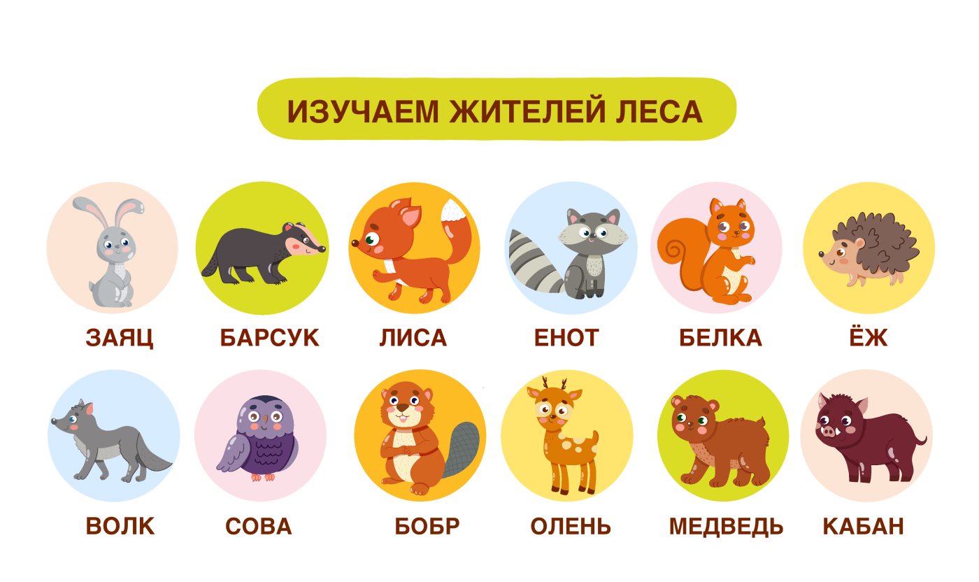 Детская настольная игра. Иллюстрации с животными — Изображение №8 — Брендинг, Иллюстрация на Dprofile