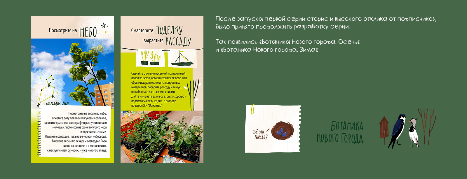Ботаника Нового города. Оформление контента для соцсетей — Изображение №2 — Брендинг, Иллюстрация на Dprofile