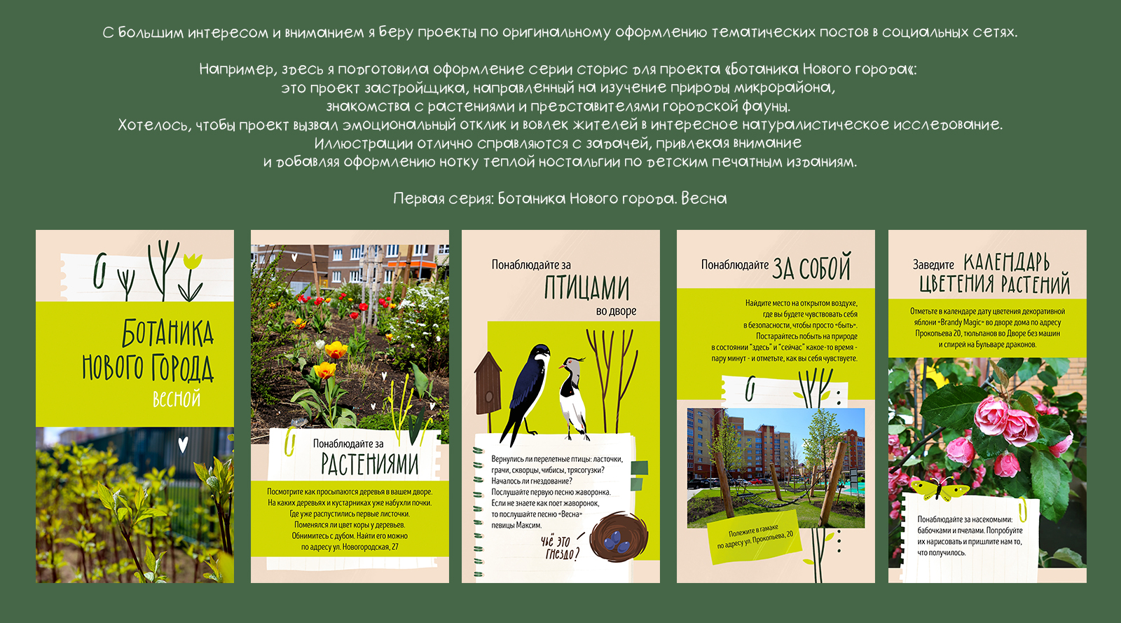 Ботаника Нового города. Оформление контента для соцсетей — Изображение №1 — Брендинг, Иллюстрация на Dprofile