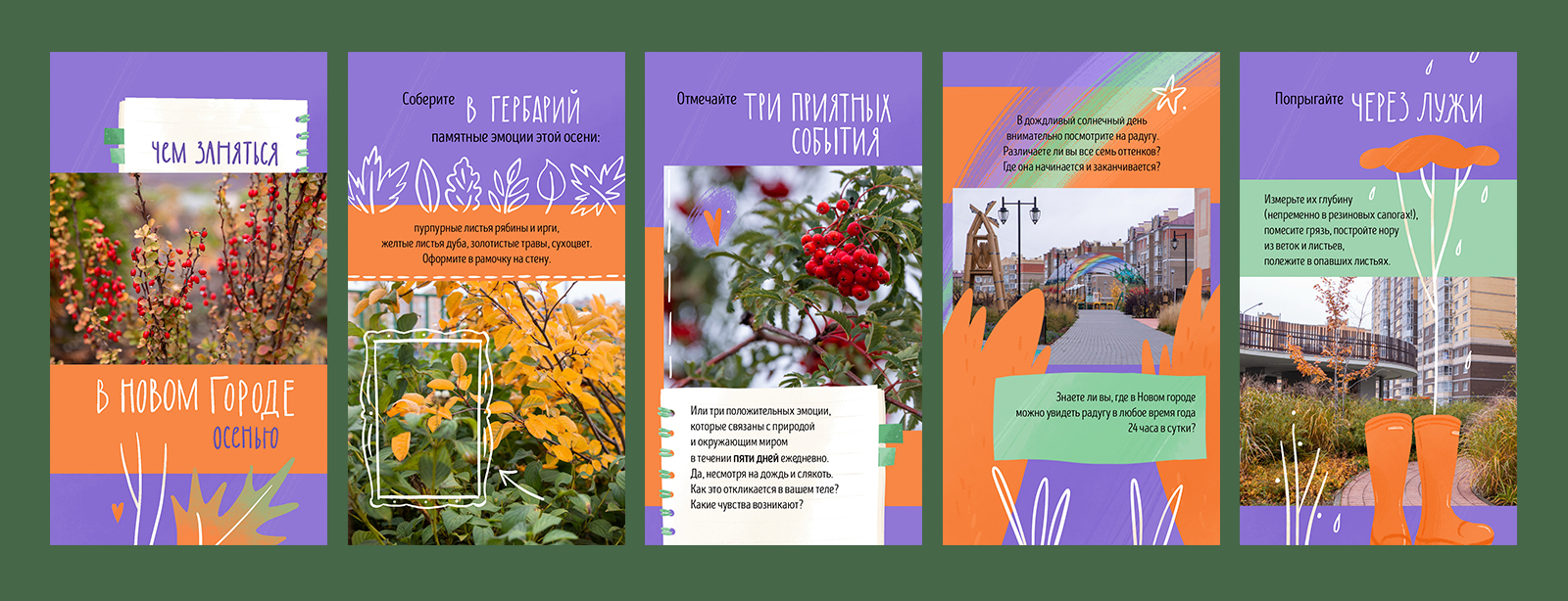 Ботаника Нового города. Оформление контента для соцсетей — Изображение №3 — Брендинг, Иллюстрация на Dprofile