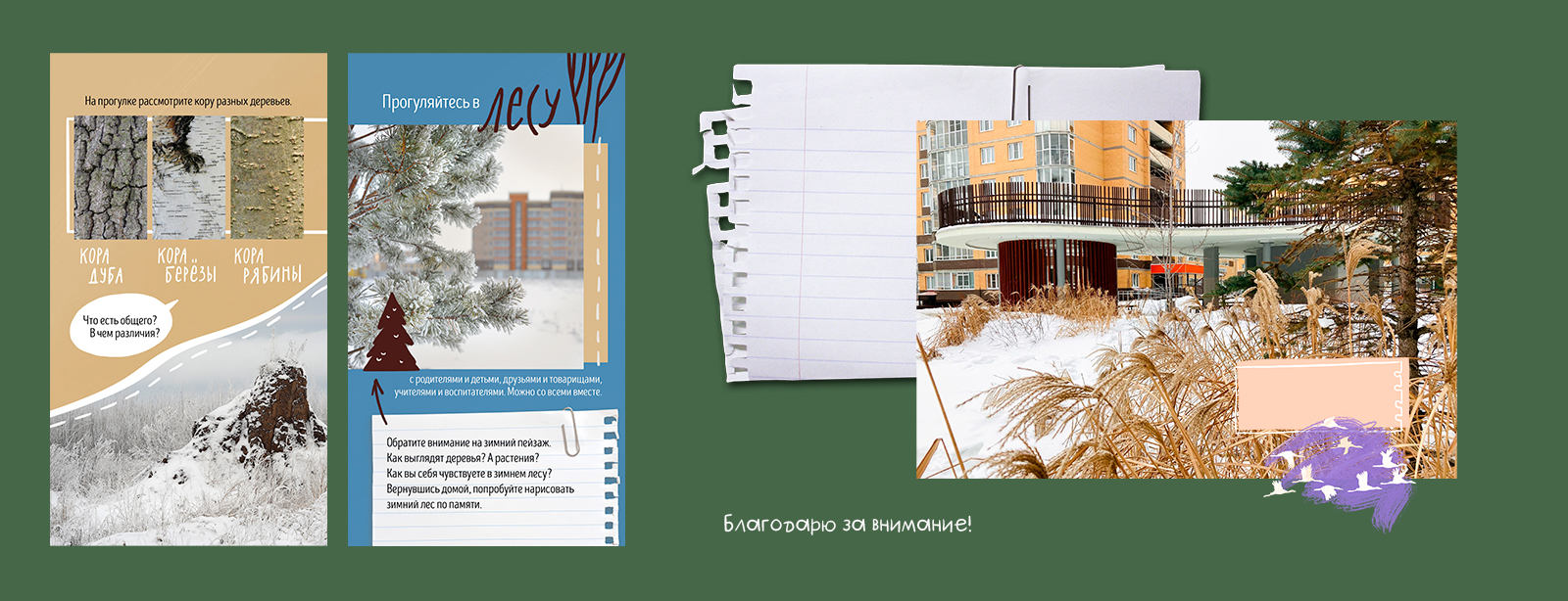 Ботаника Нового города. Оформление контента для соцсетей — Изображение №6 — Брендинг, Иллюстрация на Dprofile