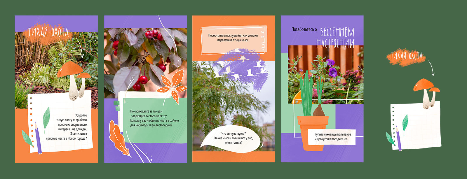 Ботаника Нового города. Оформление контента для соцсетей — Изображение №4 — Брендинг, Иллюстрация на Dprofile