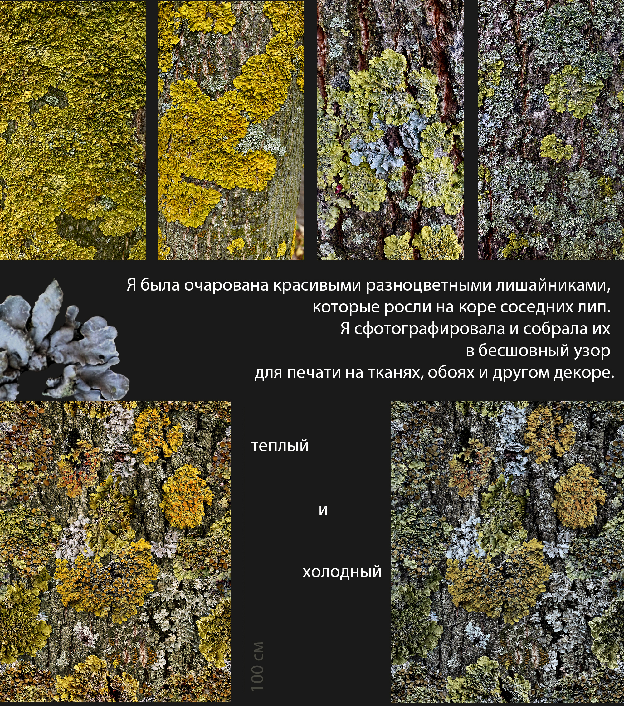 Бесшовный паттерн Кора с лишайниками — Изображение №1 — Брендинг, Иллюстрация на Dprofile