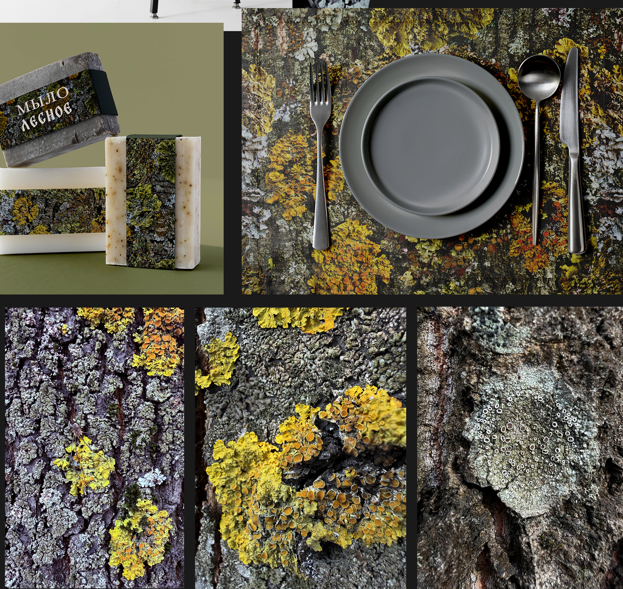 Бесшовный паттерн Кора с лишайниками — Изображение №3 — Брендинг, Иллюстрация на Dprofile