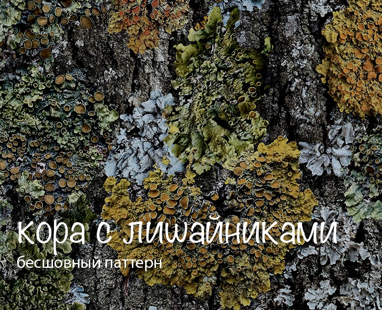 Бесшовный паттерн Кора с лишайниками на Dprofile