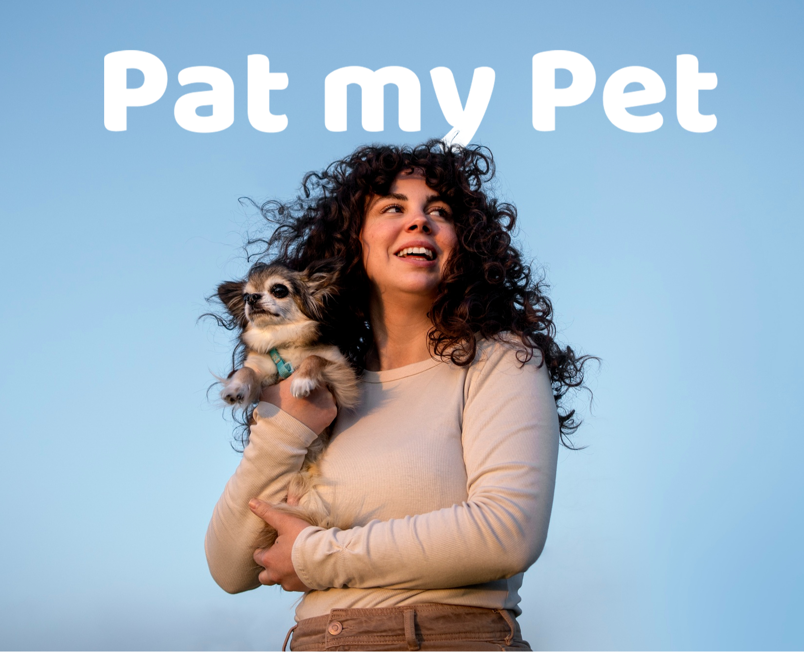 сервис по поиску передержки Pat my Pet — Интерфейсы на Dprofile