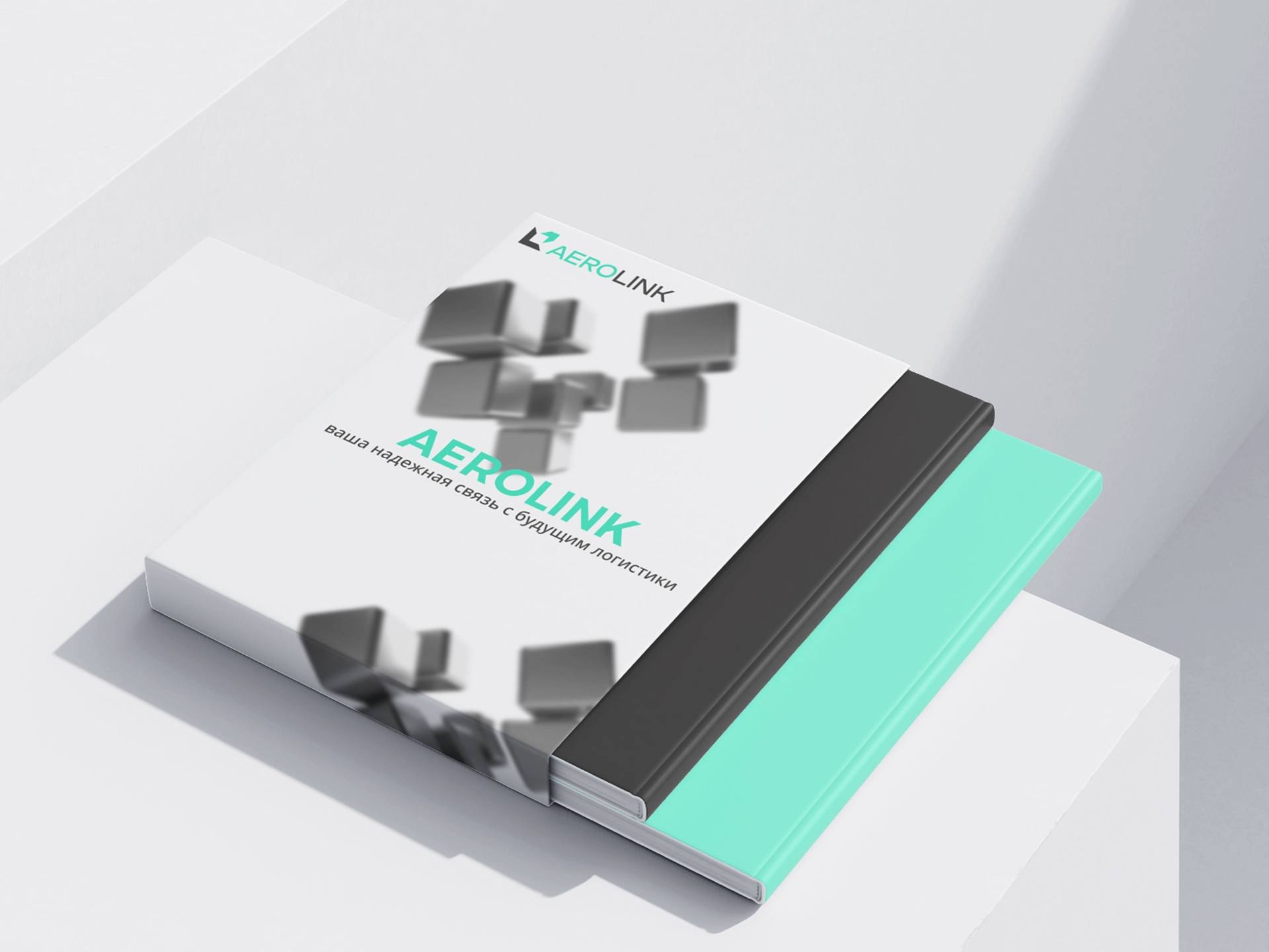 ФС КОМПАНИИ AEROLINK — Изображение №10 — Брендинг, Промдизайн на Dprofile