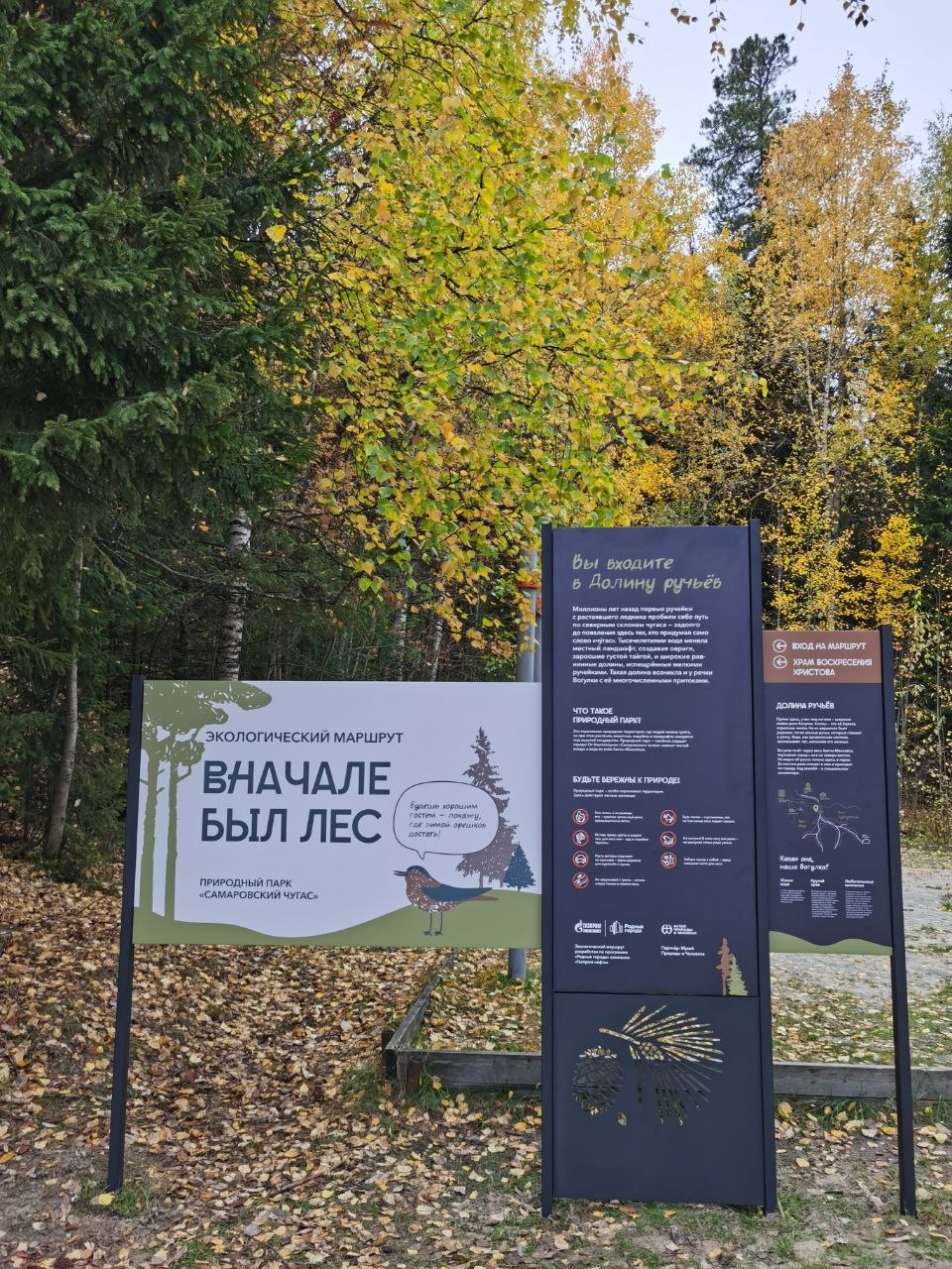 Экомаршрут "Вначале был лес" — Изображение №2 — Графика на Dprofile