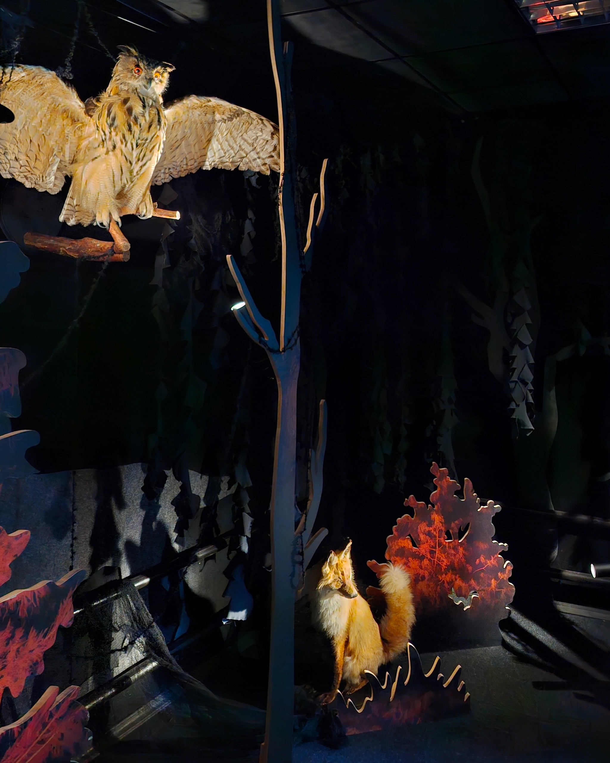 Зал «Тёмный лес» в музее природы в заповеднике — Изображение №4 — Иллюстрация на Dprofile