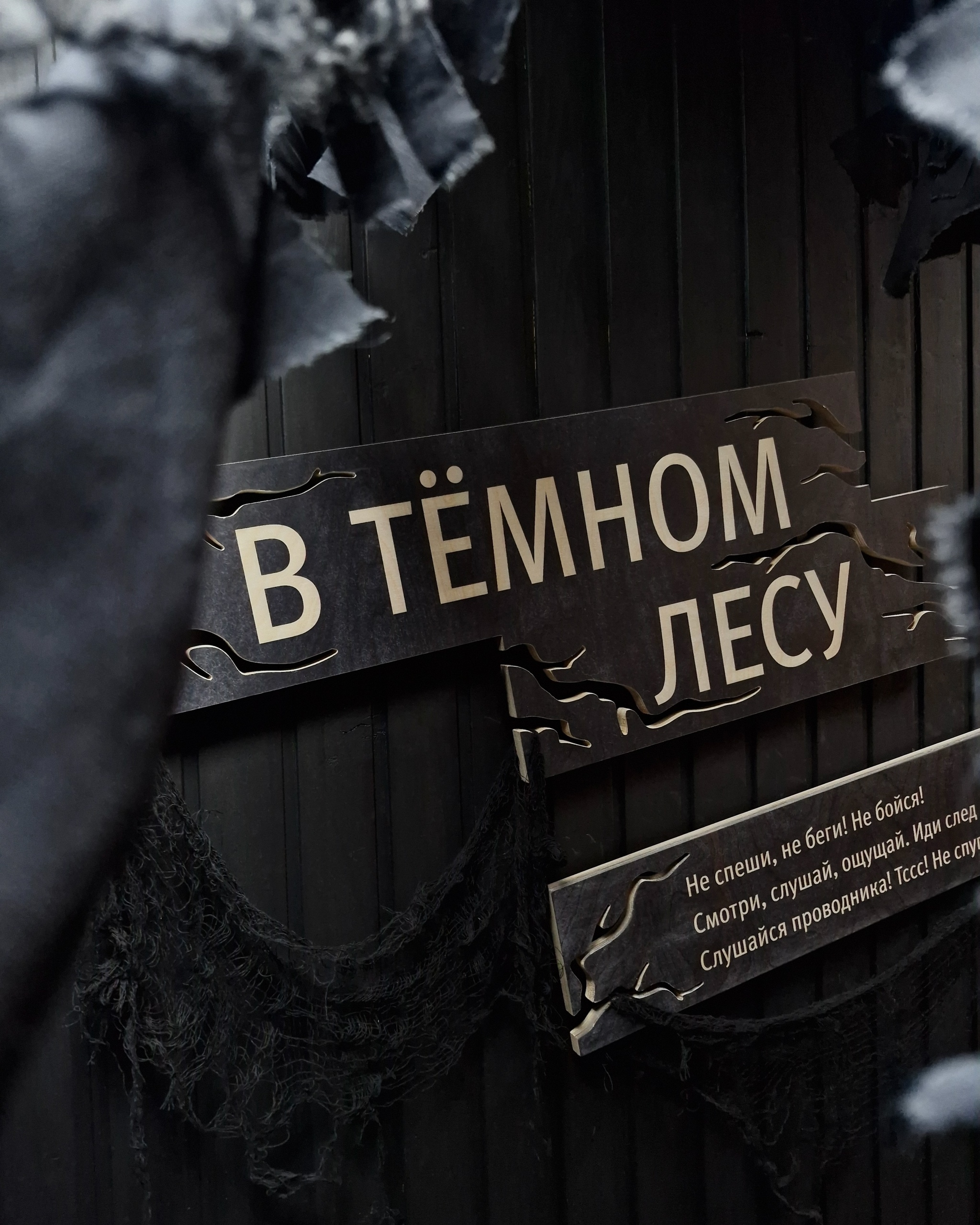 Зал «Тёмный лес» в музее природы в заповеднике — Изображение №1 — Иллюстрация на Dprofile