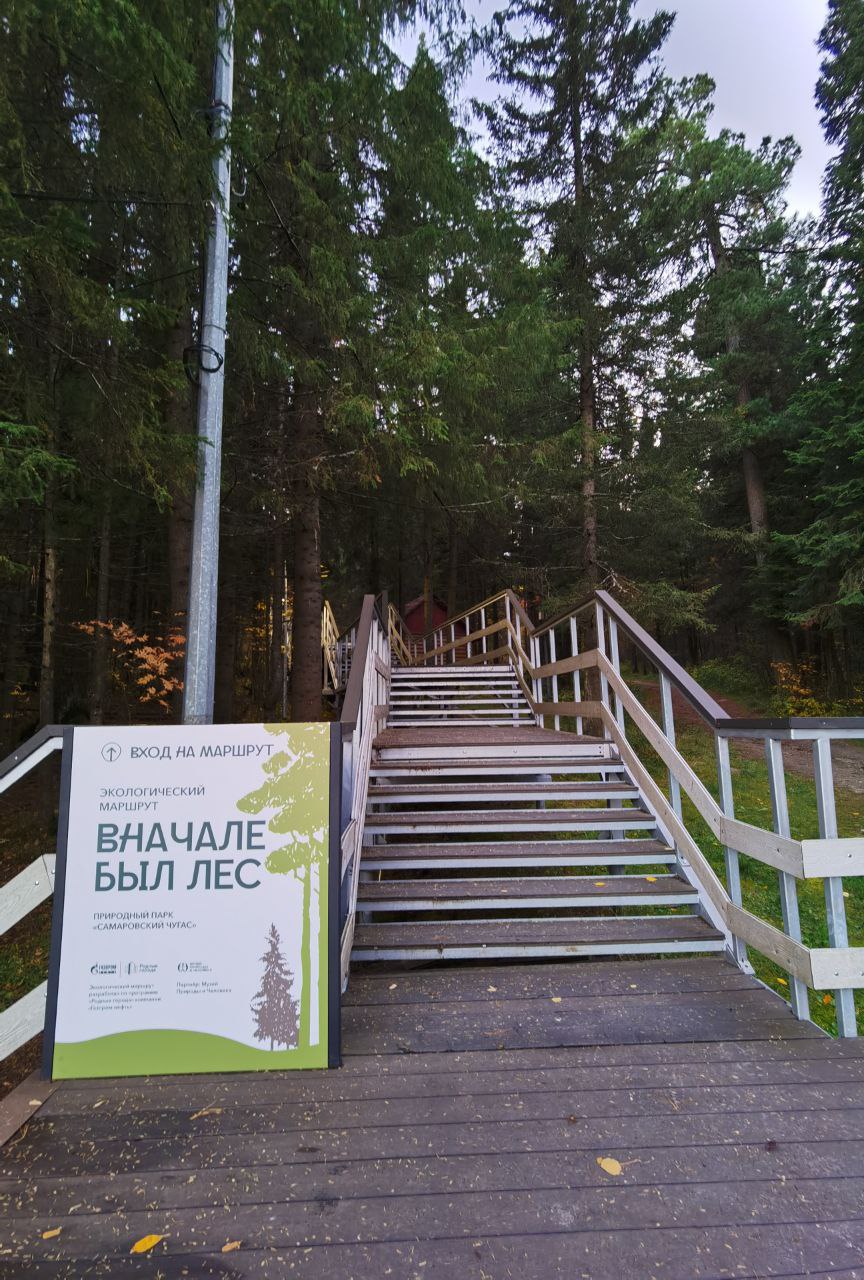 Экомаршрут "Вначале был лес" — Изображение №1 — Графика на Dprofile