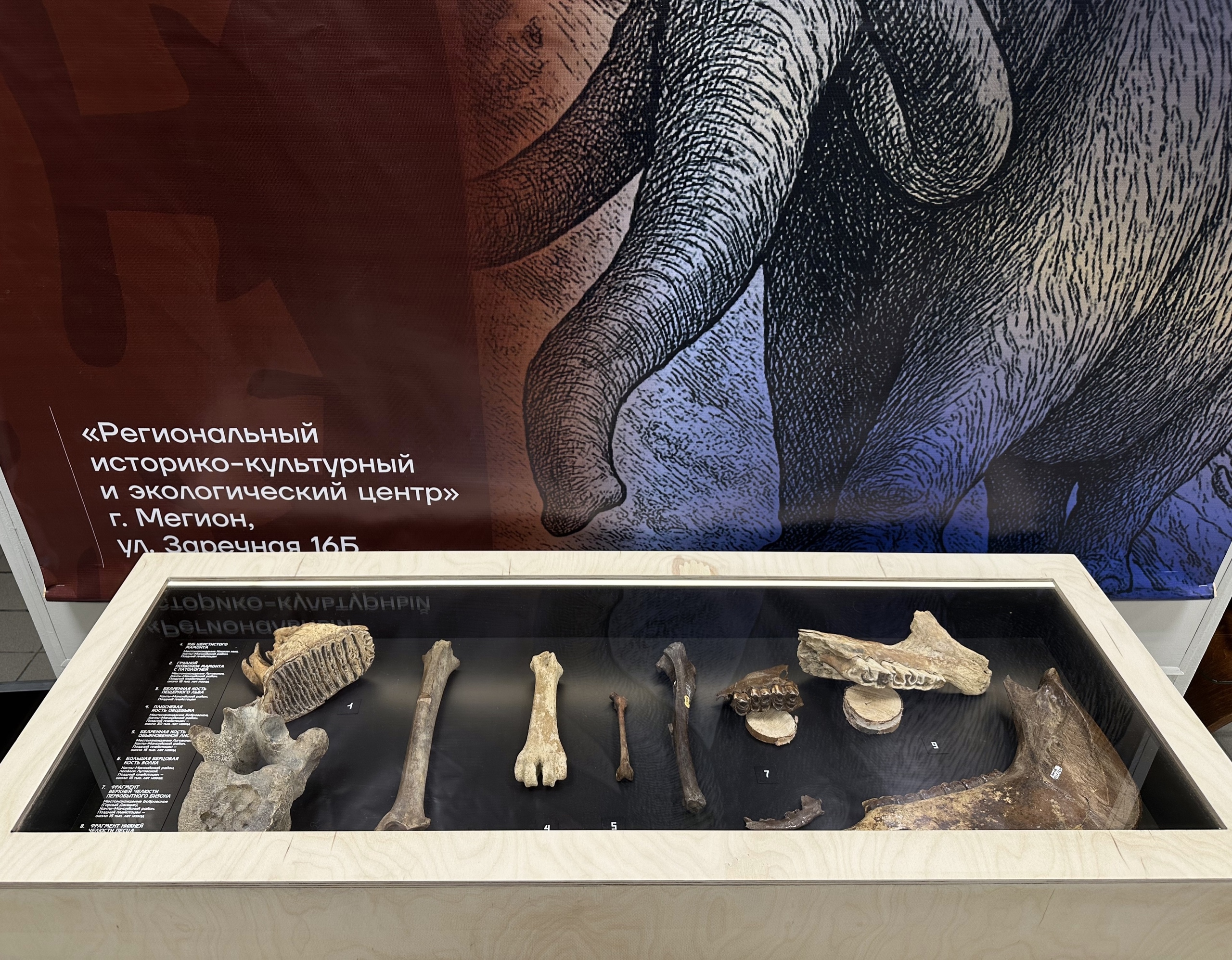 Мобильная экспозиция — Изображение №4 — Графика на Dprofile