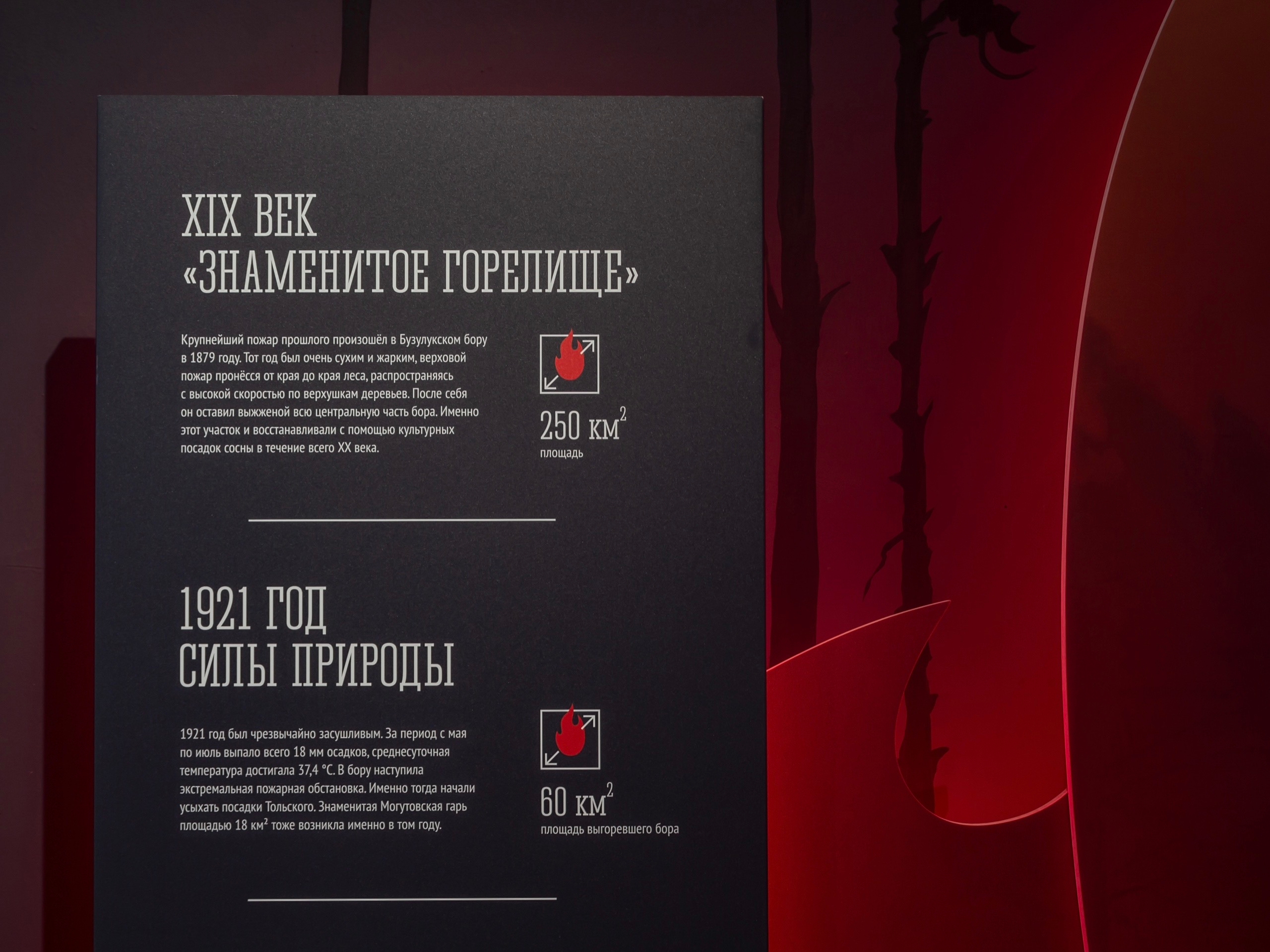 Экспозиция «Как горел бор» в нацпарке Бузулукский бор — Изображение №3 — Брендинг на Dprofile