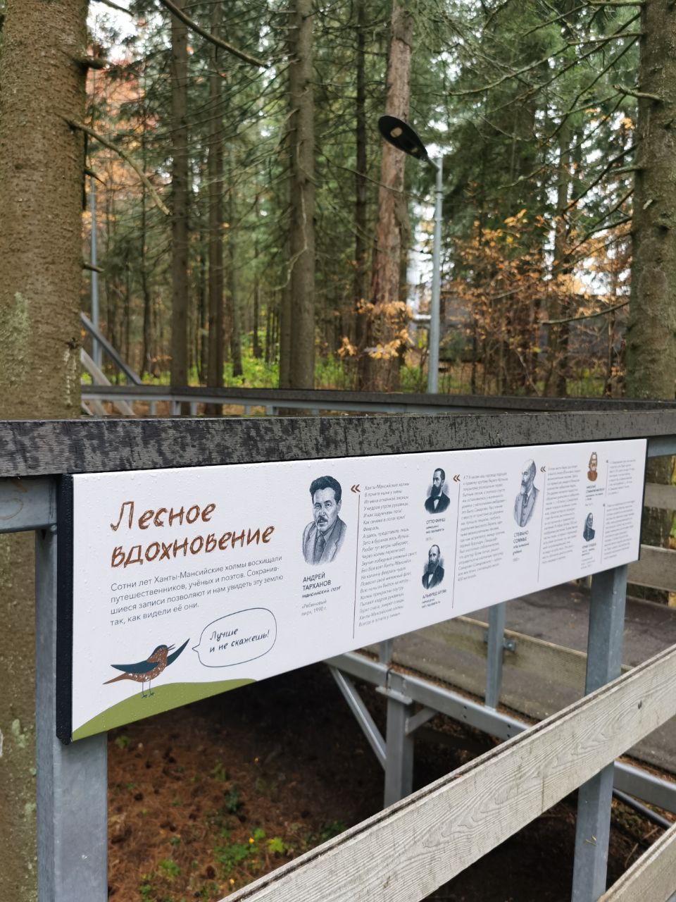 Экомаршрут "Вначале был лес" — Изображение №7 — Графика на Dprofile