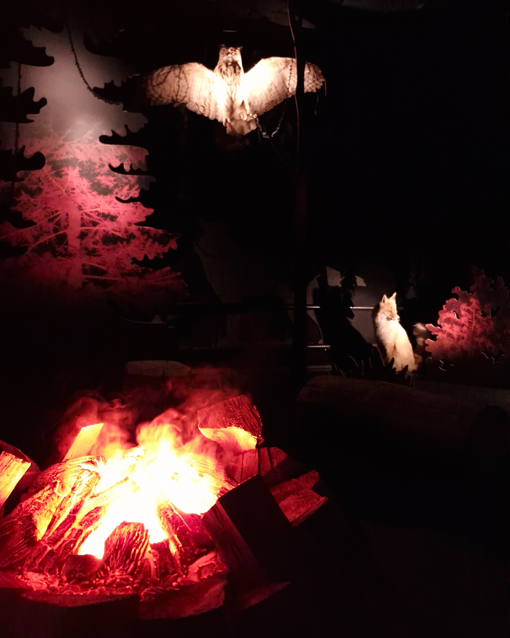 Зал «Тёмный лес» в музее природы в заповеднике — Изображение №5 — Иллюстрация на Dprofile