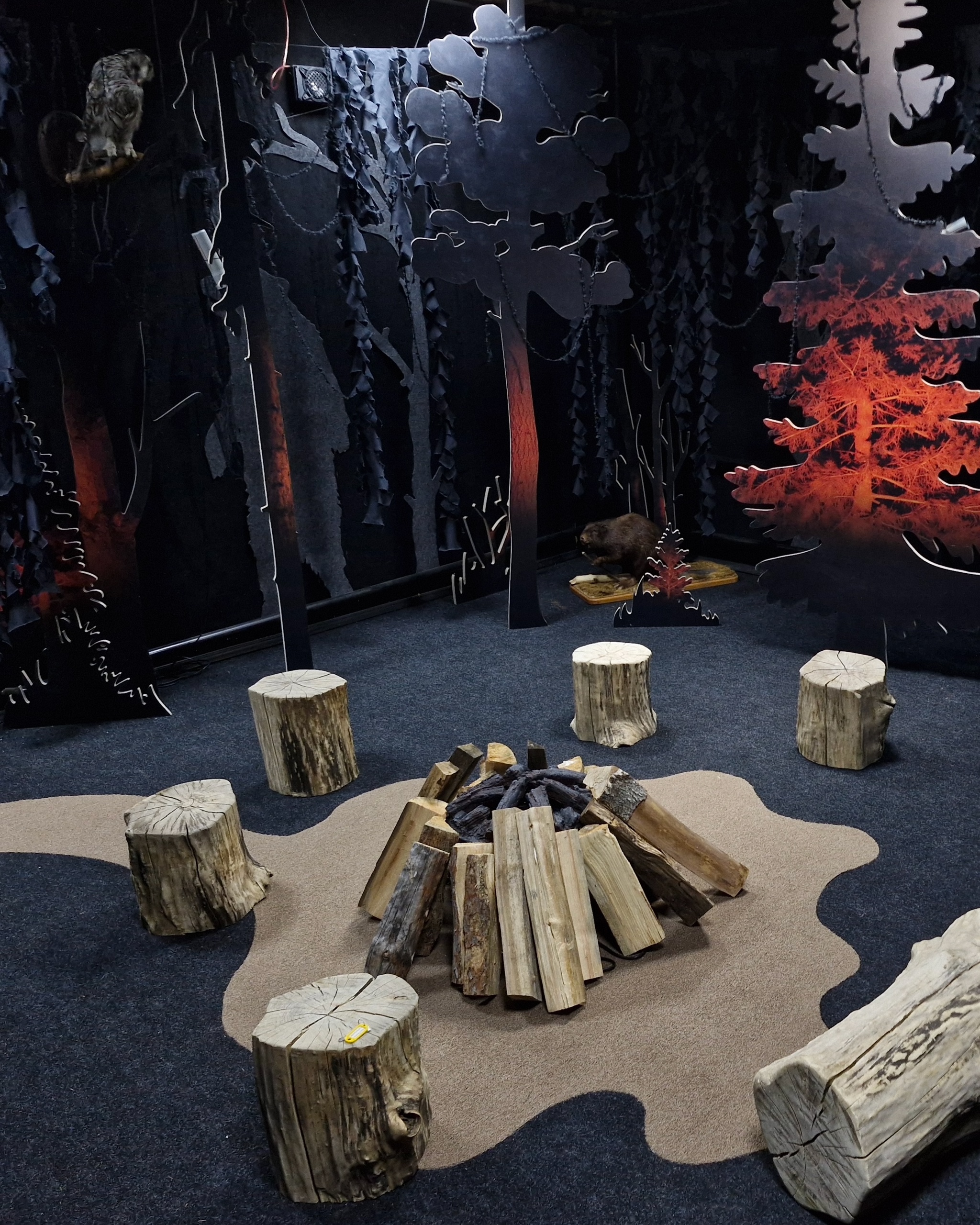 Зал «Тёмный лес» в музее природы в заповеднике — Изображение №6 — Иллюстрация на Dprofile