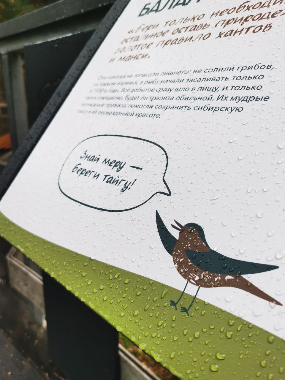 Экомаршрут "Вначале был лес" — Изображение №6 — Графика на Dprofile