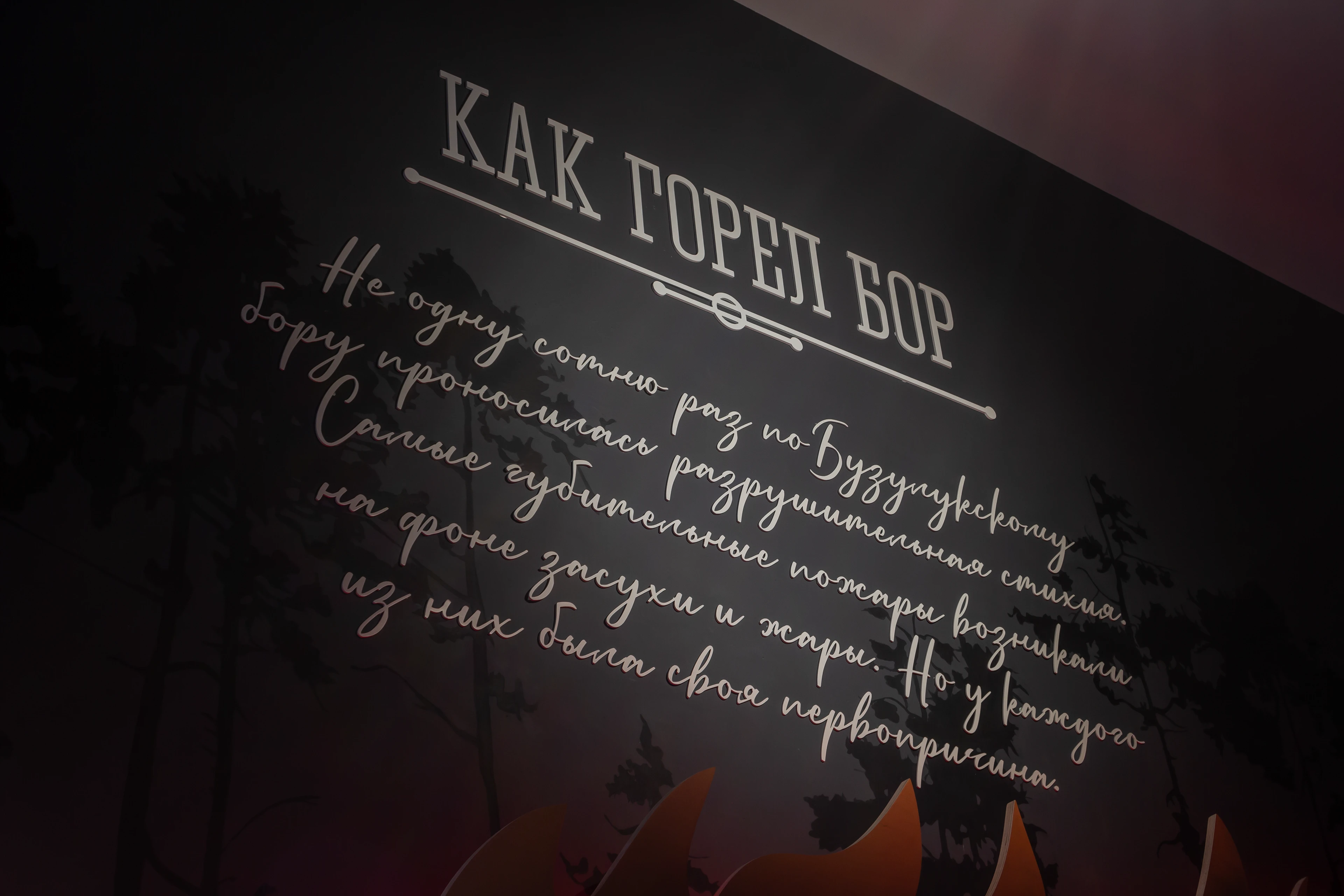 Экспозиция «Как горел бор» в нацпарке Бузулукский бор — Изображение №2 — Брендинг на Dprofile
