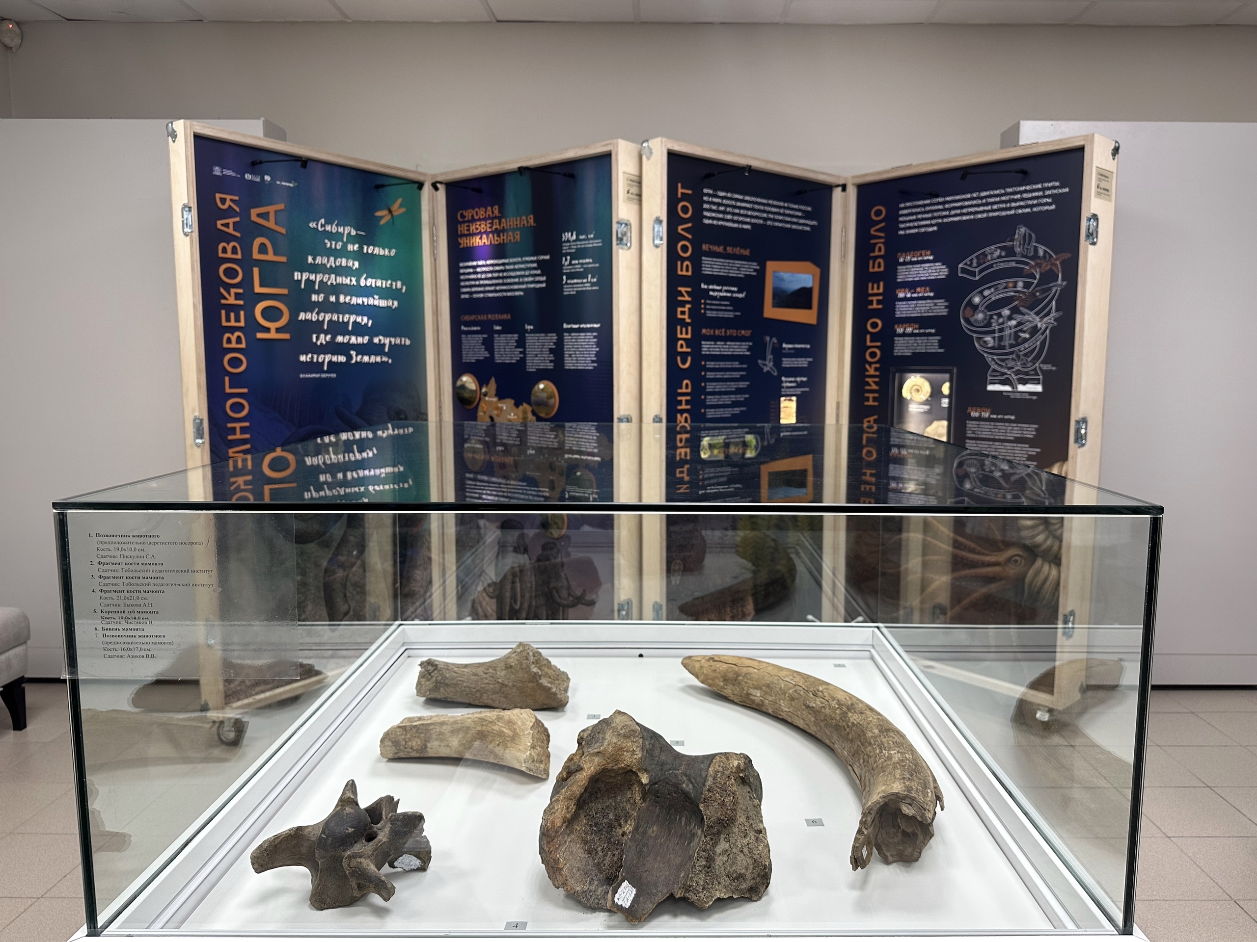 Мобильная экспозиция — Изображение №3 — Графика на Dprofile