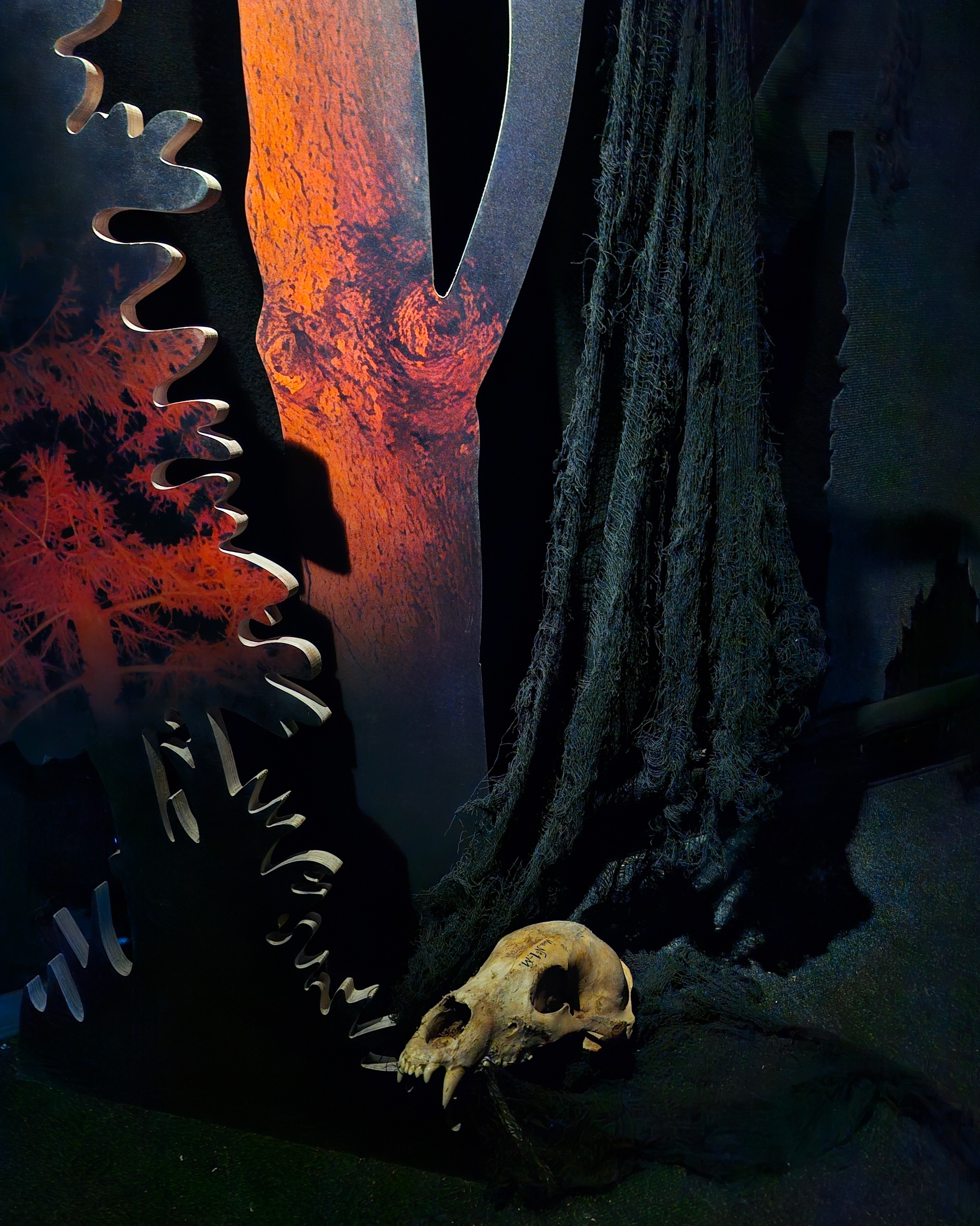 Зал «Тёмный лес» в музее природы в заповеднике — Изображение №2 — Иллюстрация на Dprofile