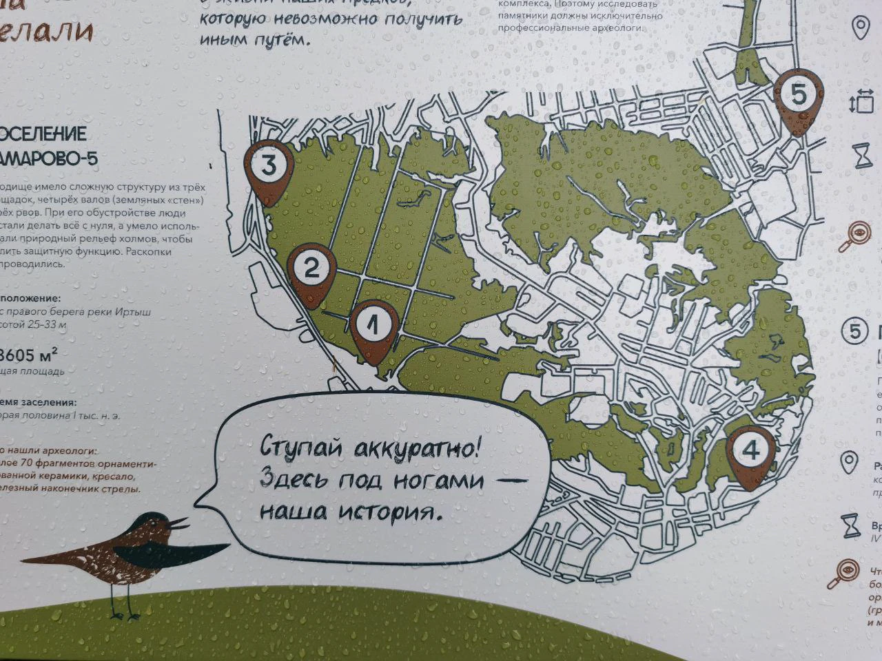 Экомаршрут "Вначале был лес" — Изображение №8 — Графика на Dprofile