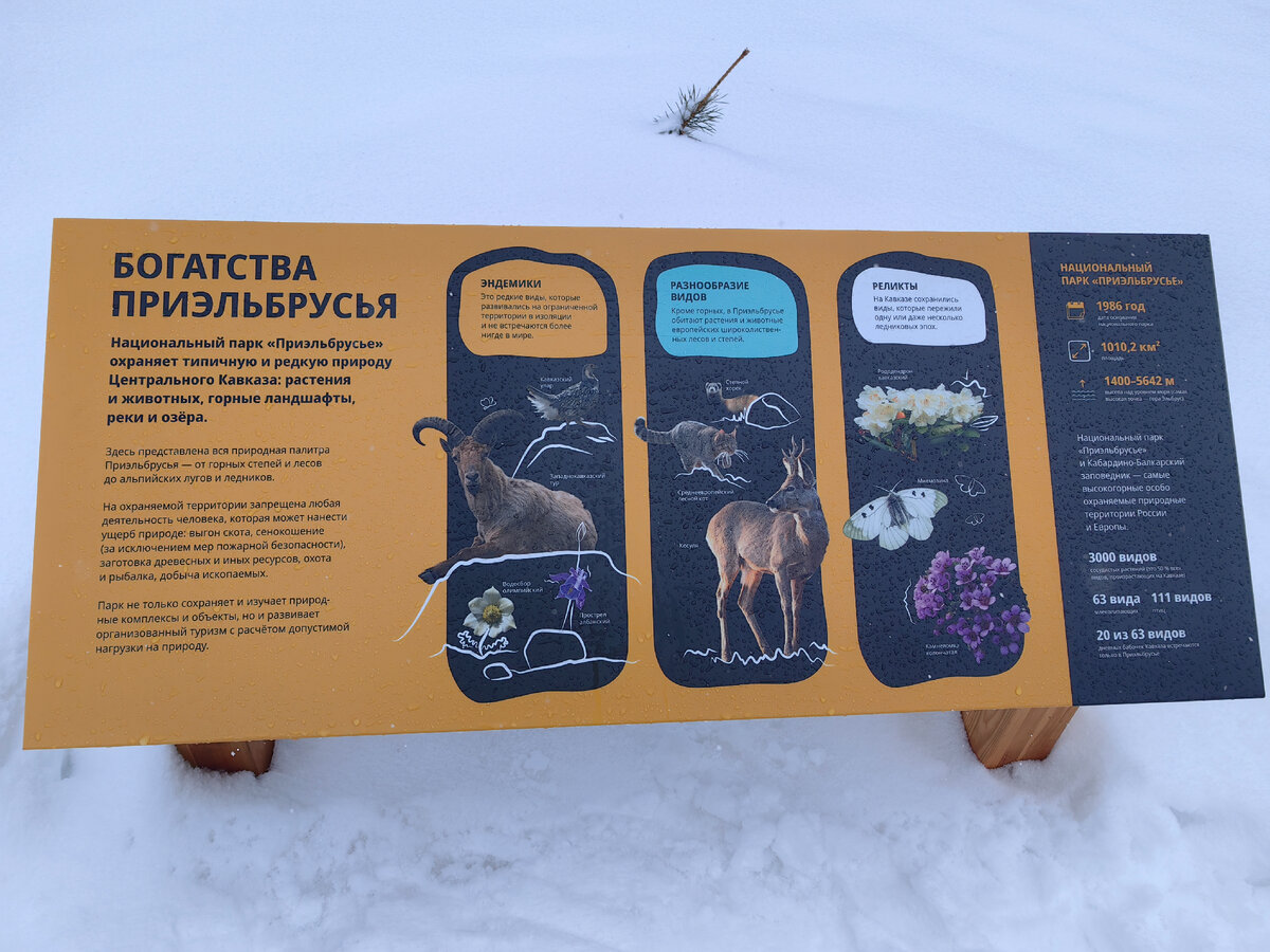 Разработка туристической инфраструктуры для экотропы — Изображение №10 — Брендинг, Графика на Dprofile