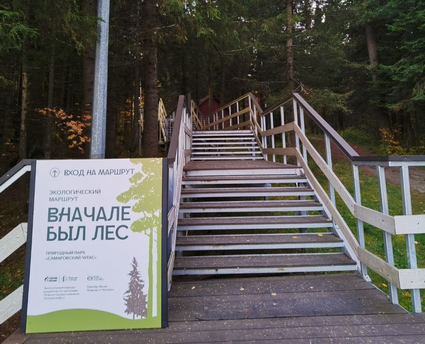 Экомаршрут "Вначале был лес" — Графика на Dprofile