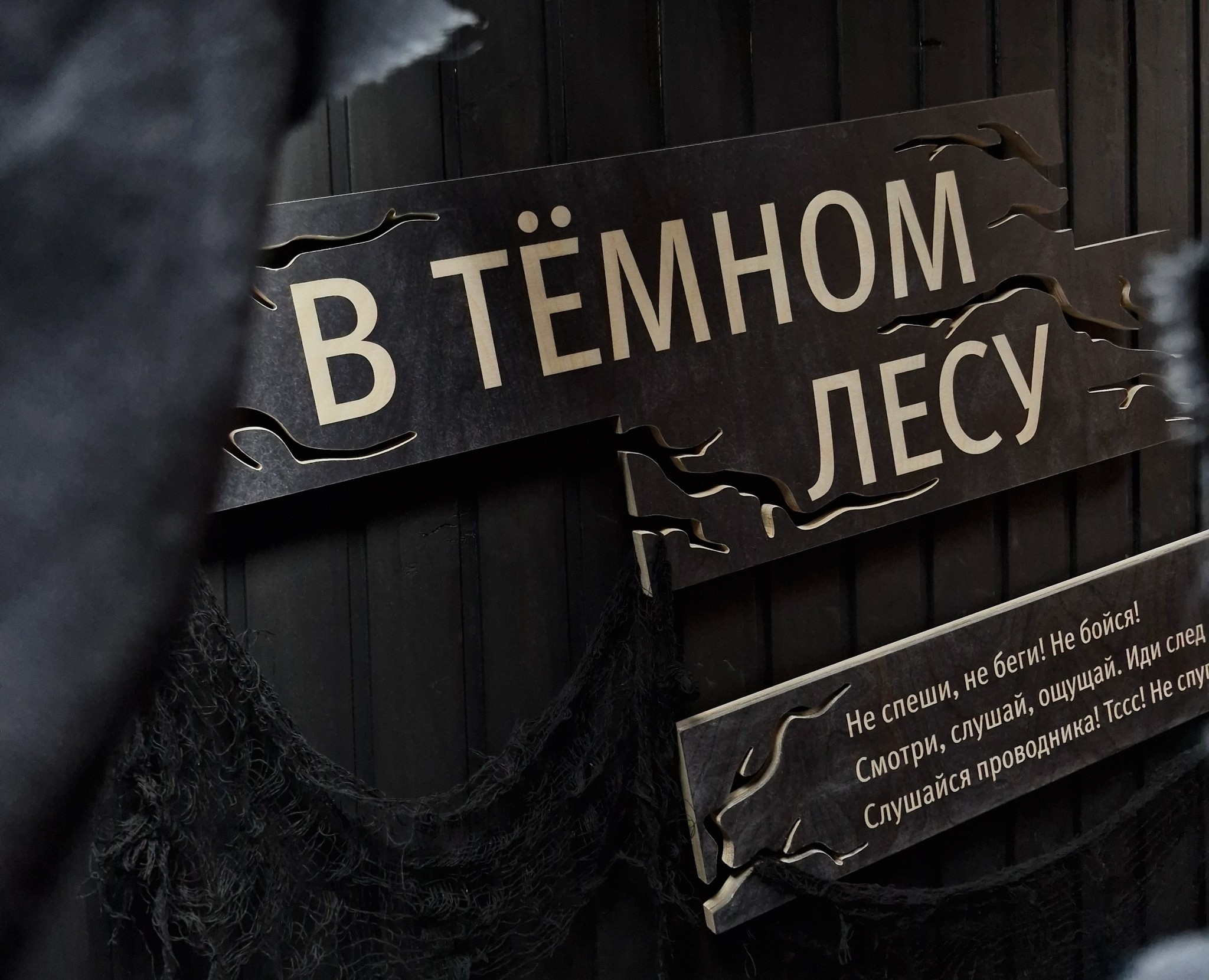 Зал «Тёмный лес» в музее природы в заповеднике — Иллюстрация на Dprofile