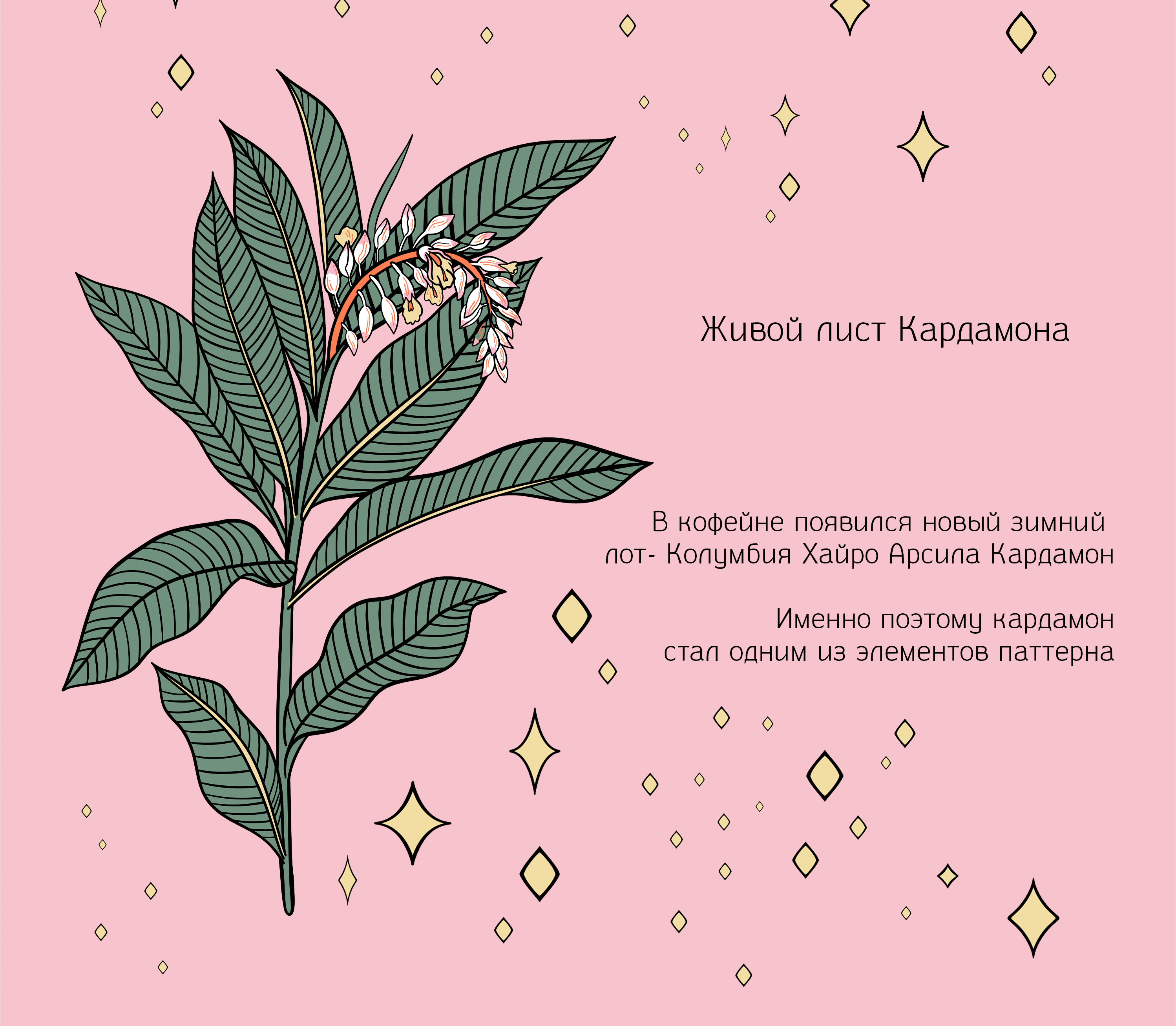 Print for Coffee Box | Packaging Design / Упаковка — Изображение №8 — Брендинг, Иллюстрация на Dprofile