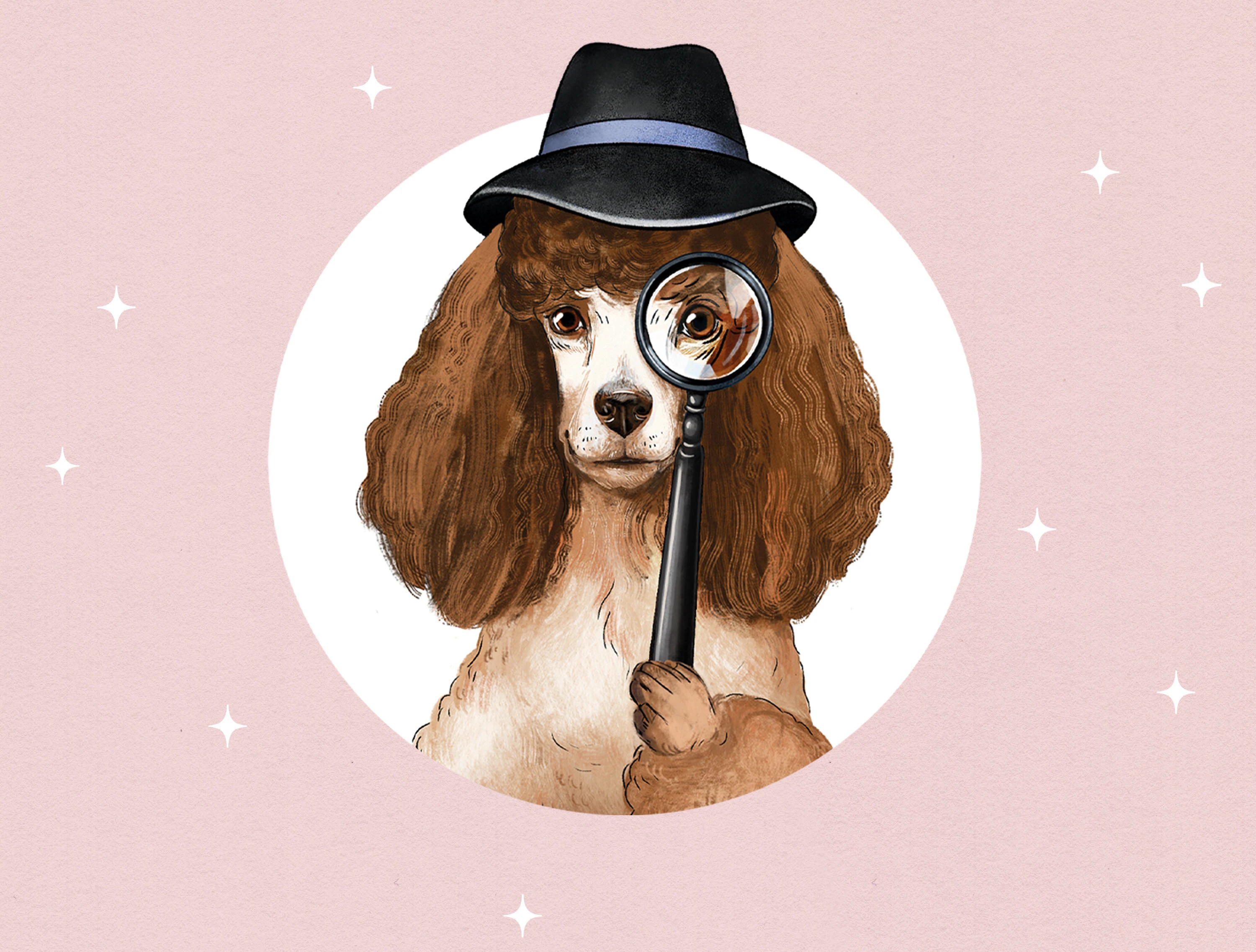 Дизайн упаковки для бренда OK Poodle/ Design packaging — Изображение №15 — Брендинг, Промдизайн на Dprofile