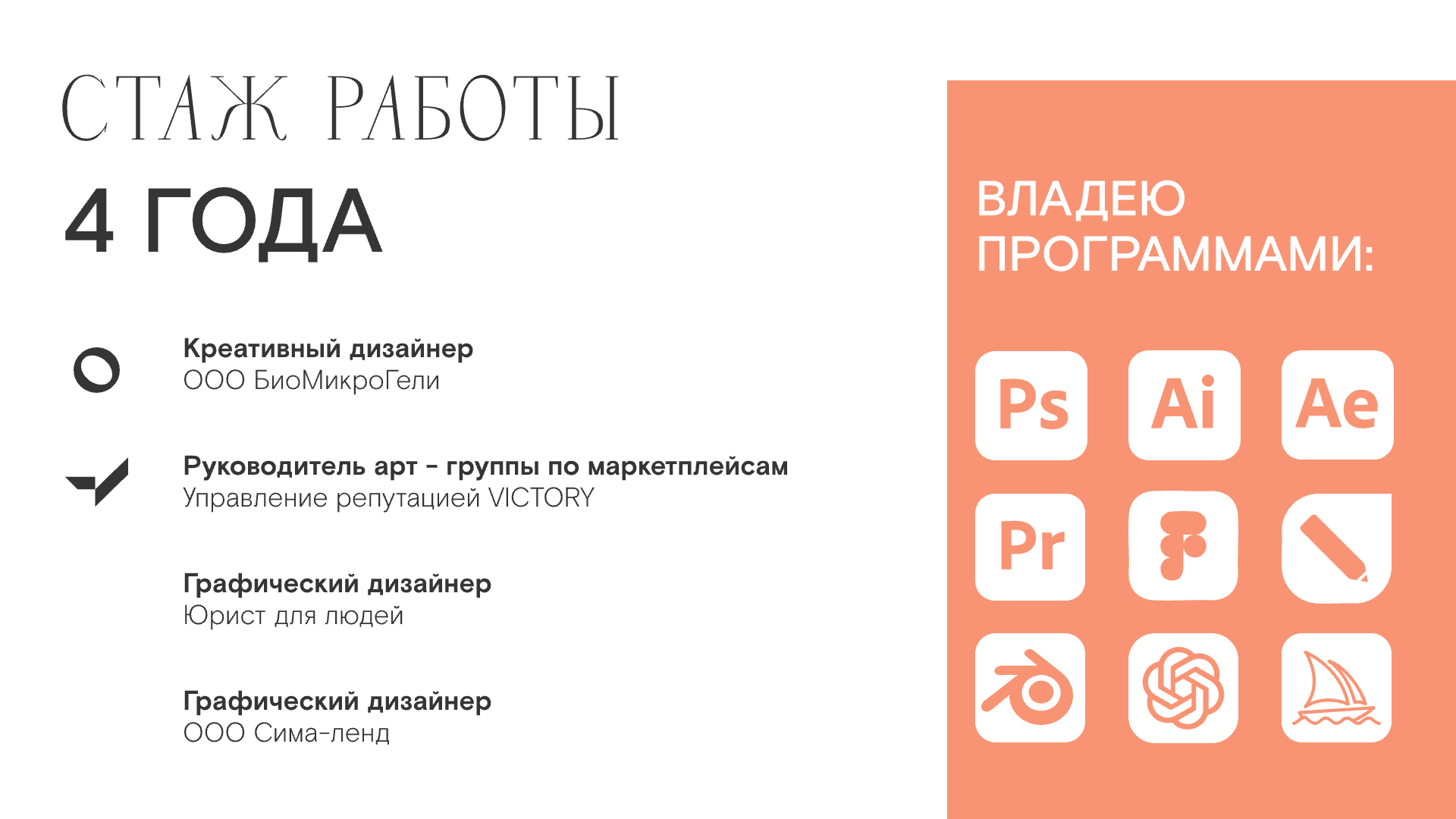 Резюме | Портфолио креативного дизайнера — Изображение №3 — Брендинг, Иллюстрация на Dprofile