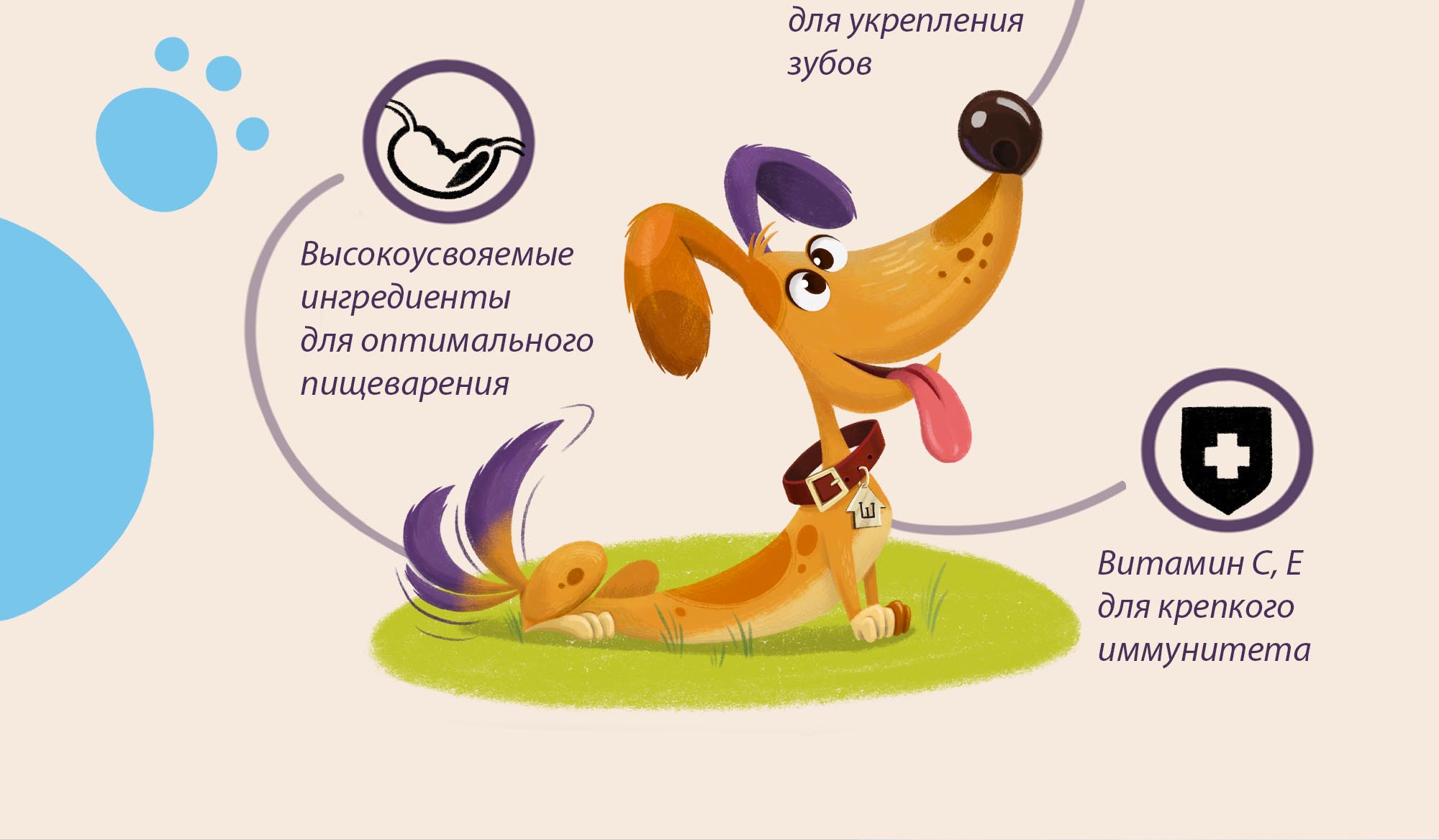 Бренд персонаж для индустрии собачьего корма — Изображение №5 — Иллюстрация, Графика на Dprofile
